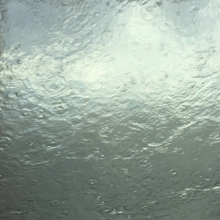 Quick Wash II - Views - Car Wash Near Me - Sparks, Nevada