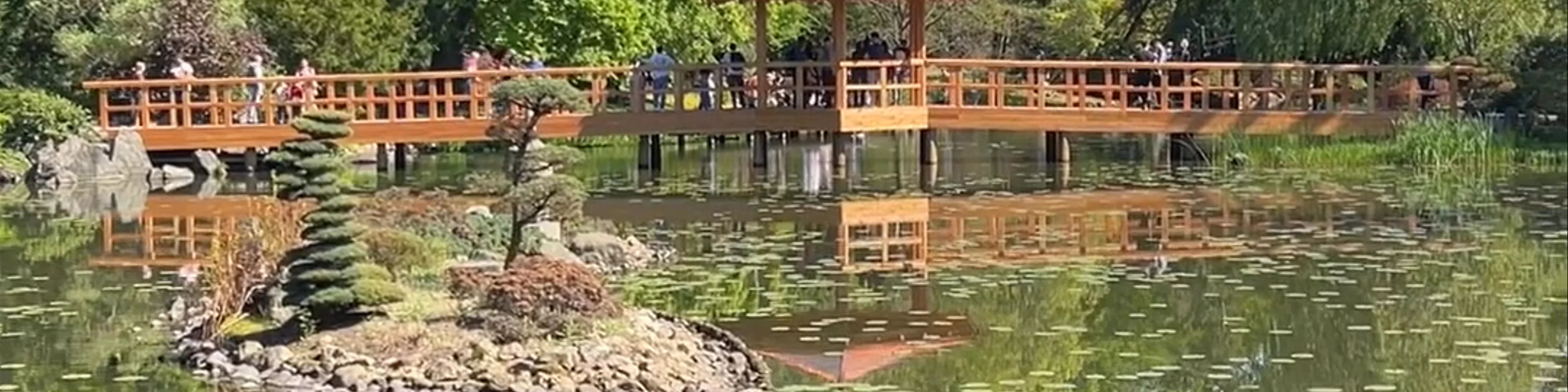 Japanese Garden