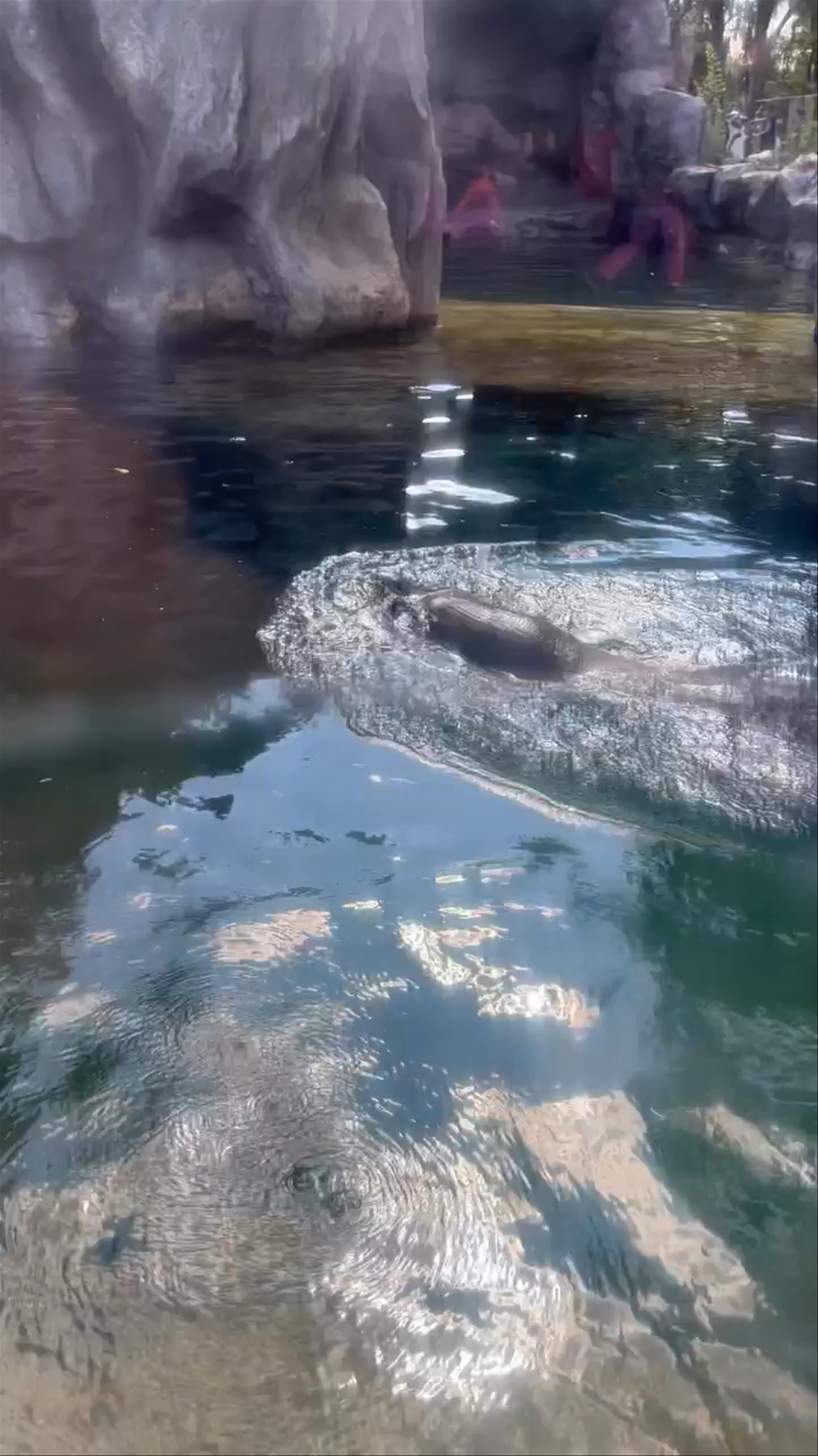 Zoológico La Aurora