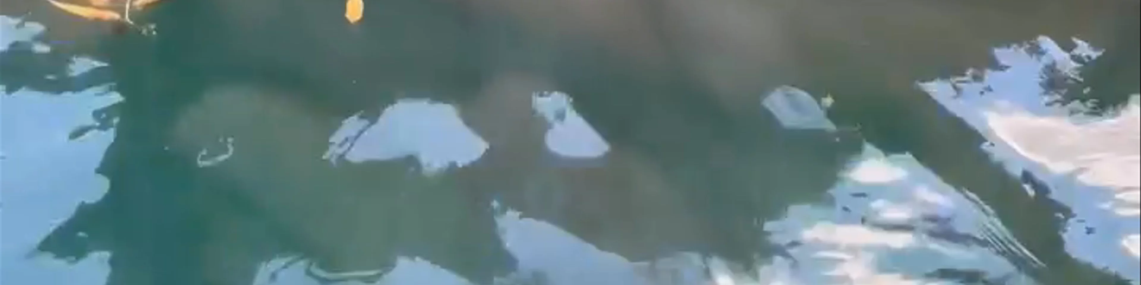 Zoológico La Aurora