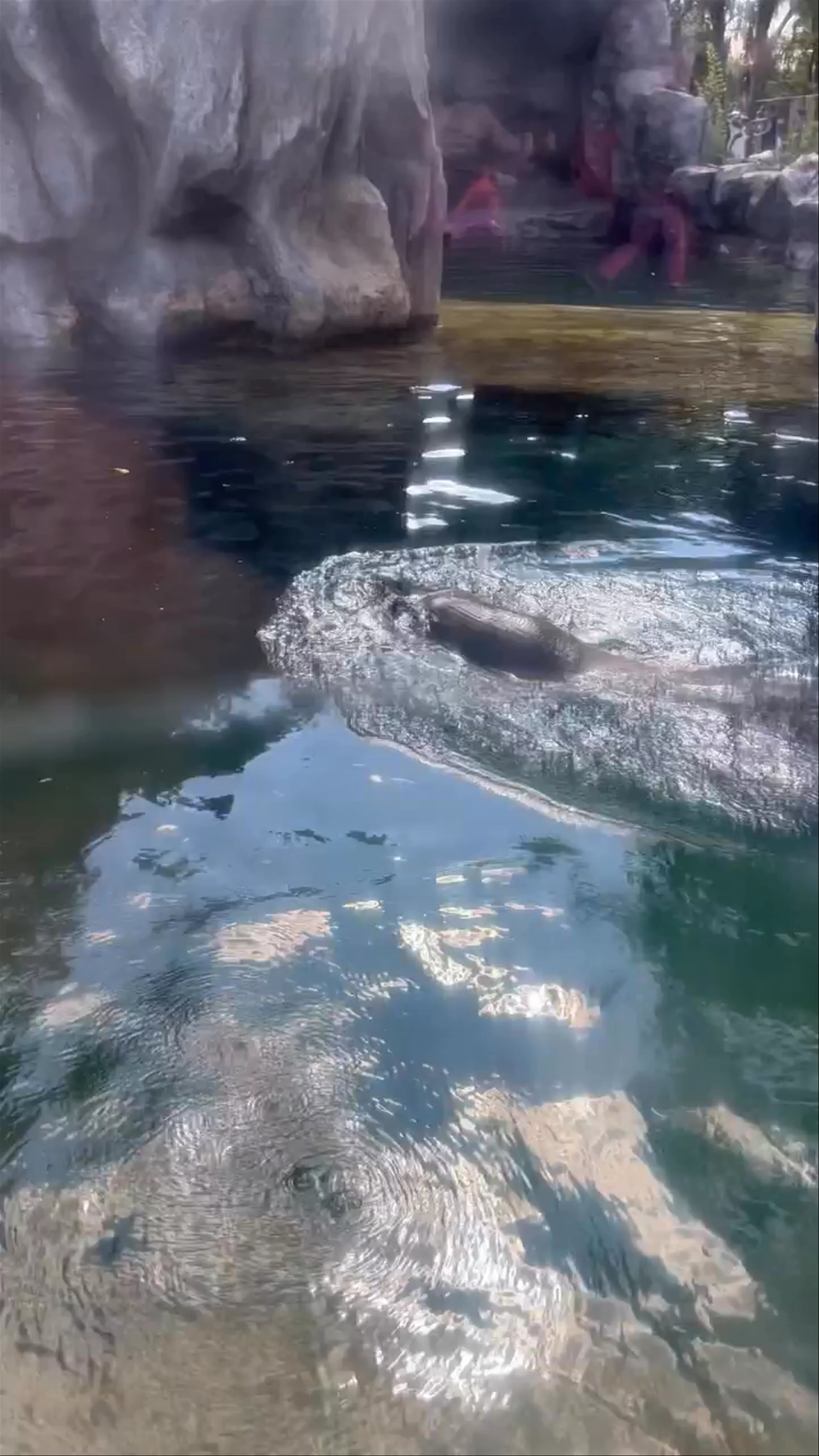 Zoológico La Aurora