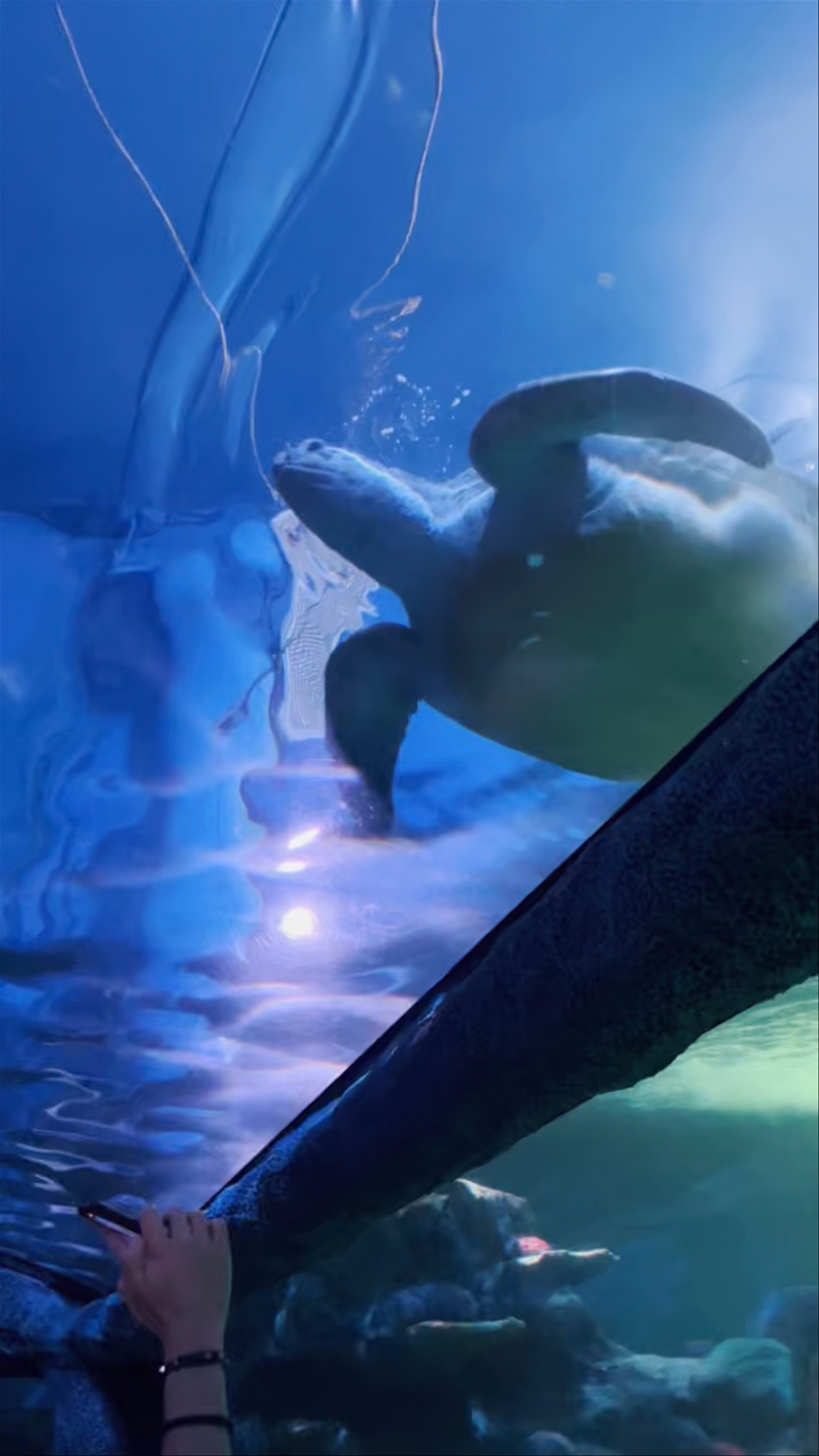 Aquarium