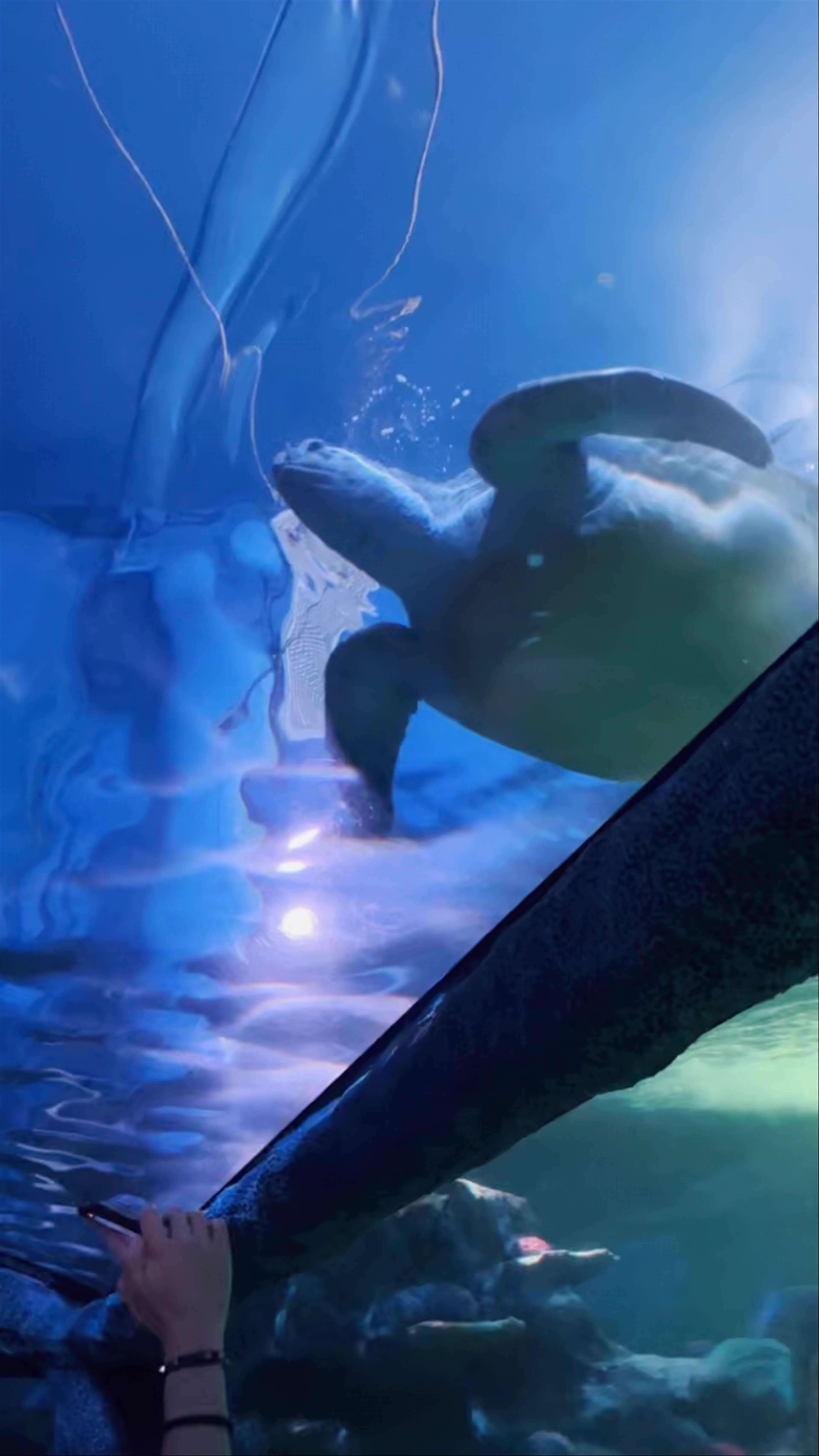 Sydney Institute of Marine Science Aquarium
