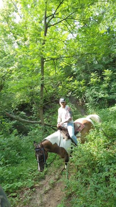 Wild Rose Equine Center - Horse Boarding Near Me - Dearborn, Missouri
