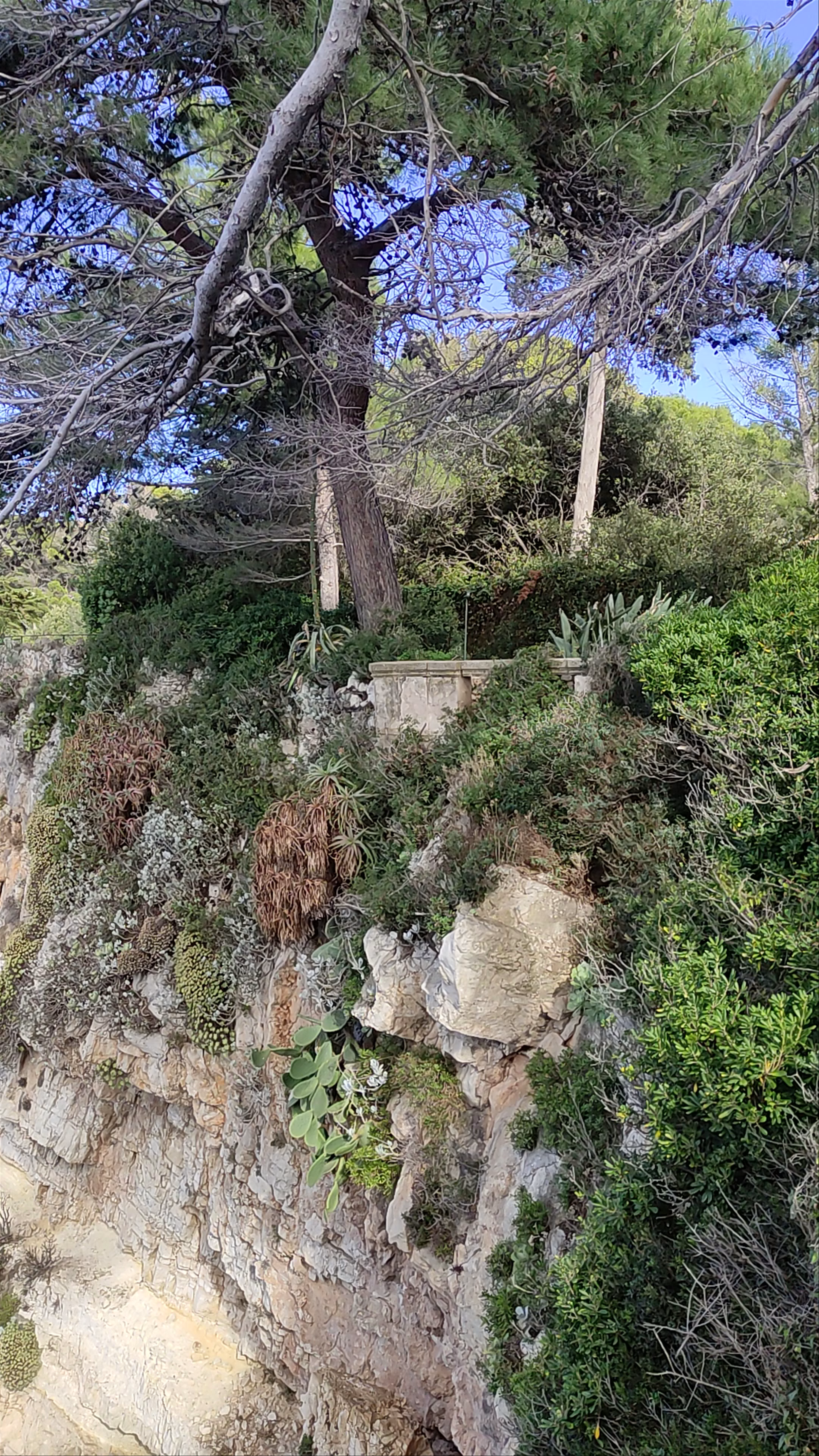Le Sentier du Littoral Walk, Antibes: Coastal Serenity in Provence-Alpes-Côte d'Azur
