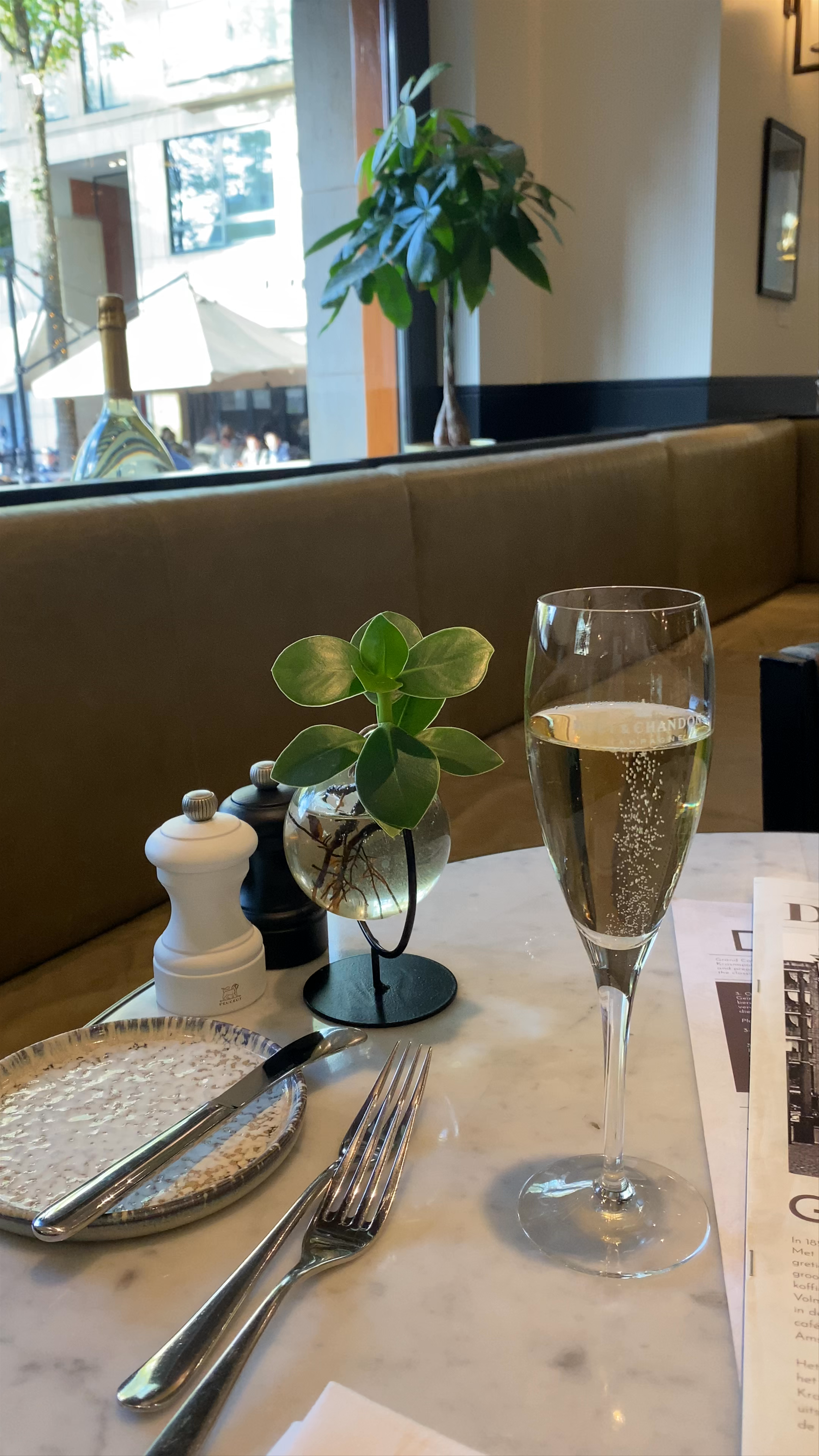 Elegant Dining Experience at Grand Café Krasnapolsky, Amsterdam