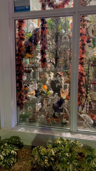 The Tickin Ribbit - In-Action Halloween 2025 ~ Reopening November 1st! - Gift Shops Near Me - Wilton Manors, Florida
