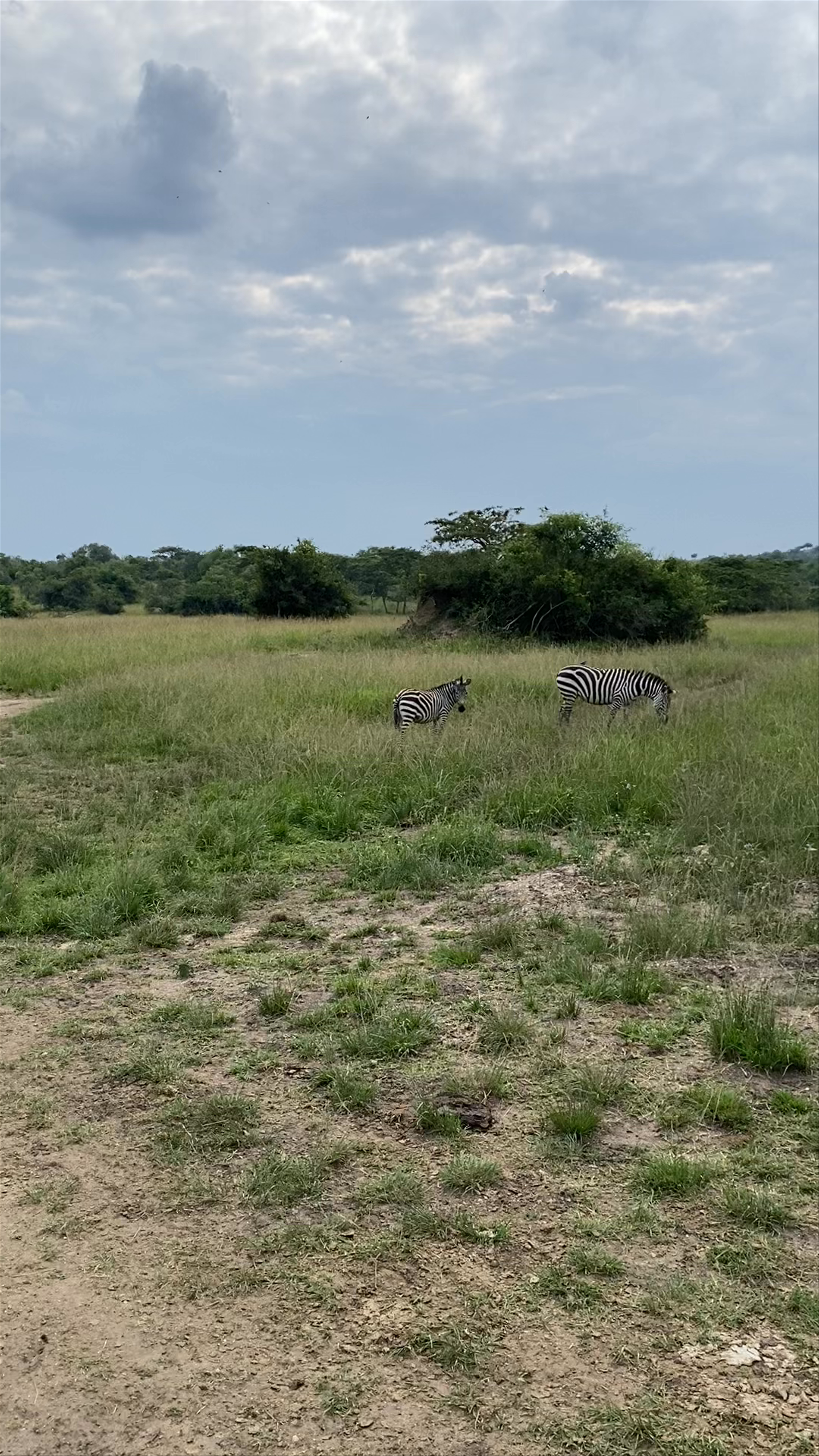 Lake Mburo National Park