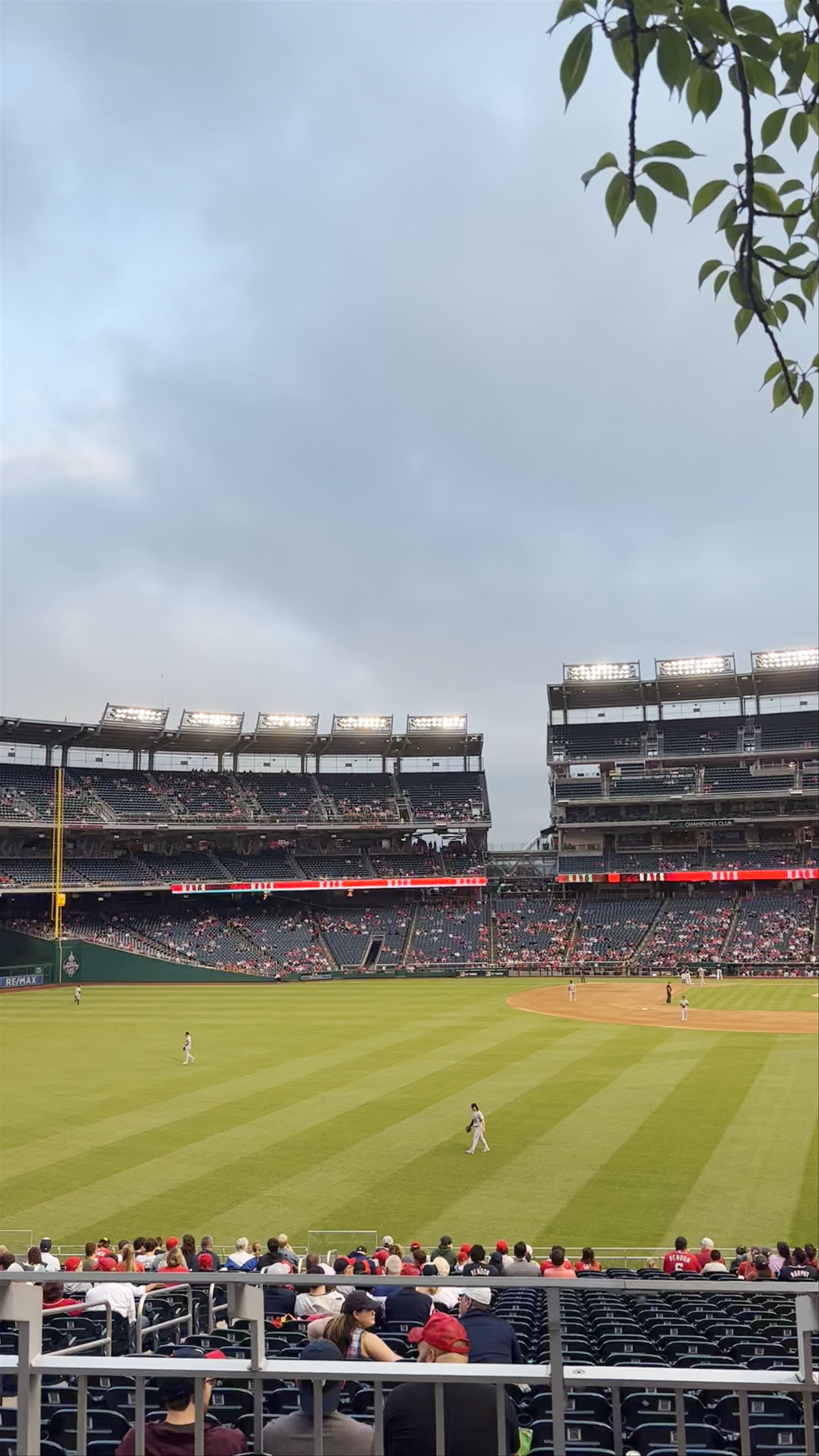 Evening Baseball Excitement at Nationals Park, Washington DC