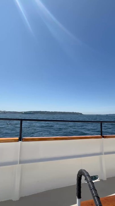 Seattle's Tall Ship - Boat Tours Near Me - Seattle, Washington