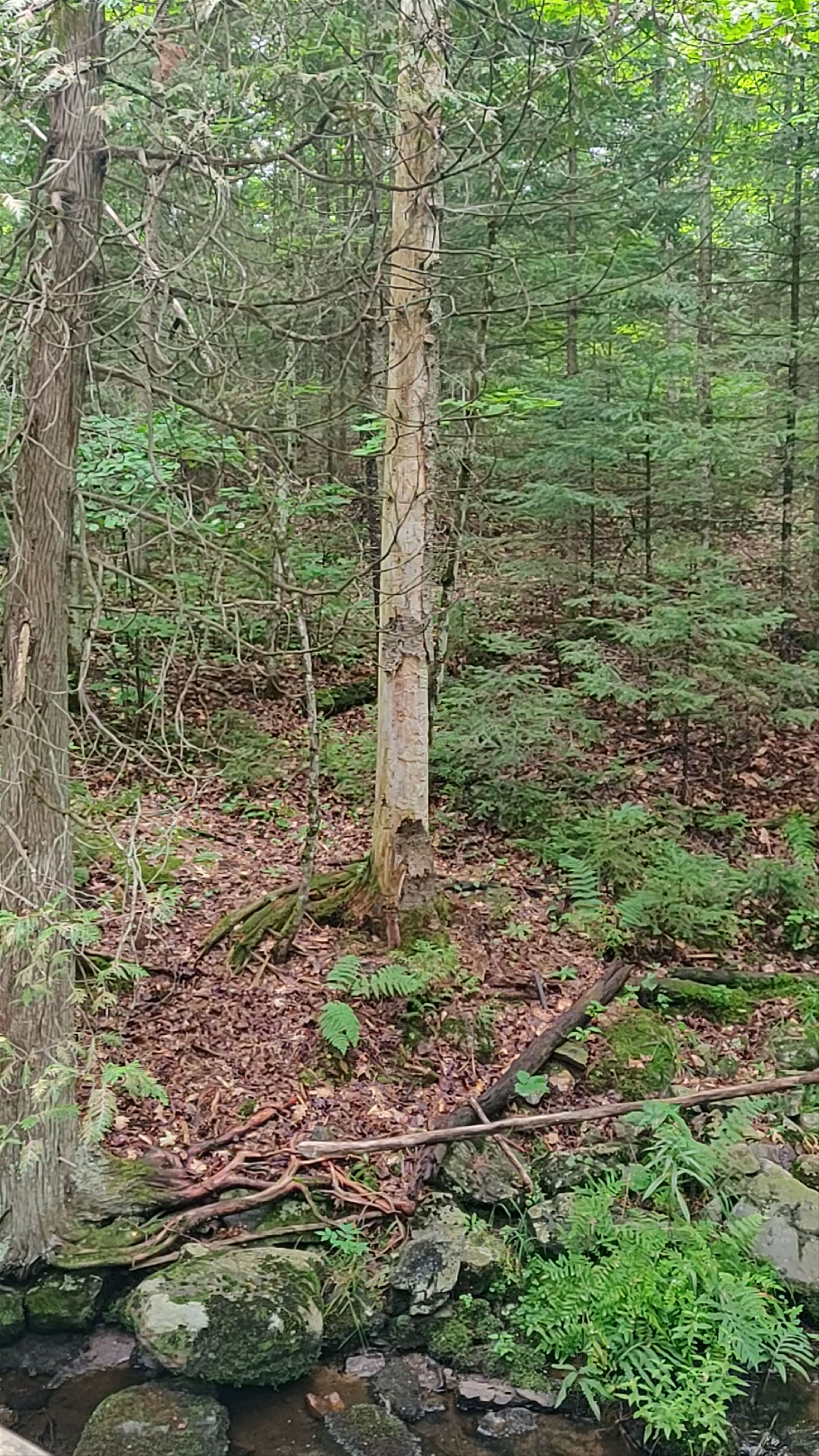 Silent Lake Provincial Park