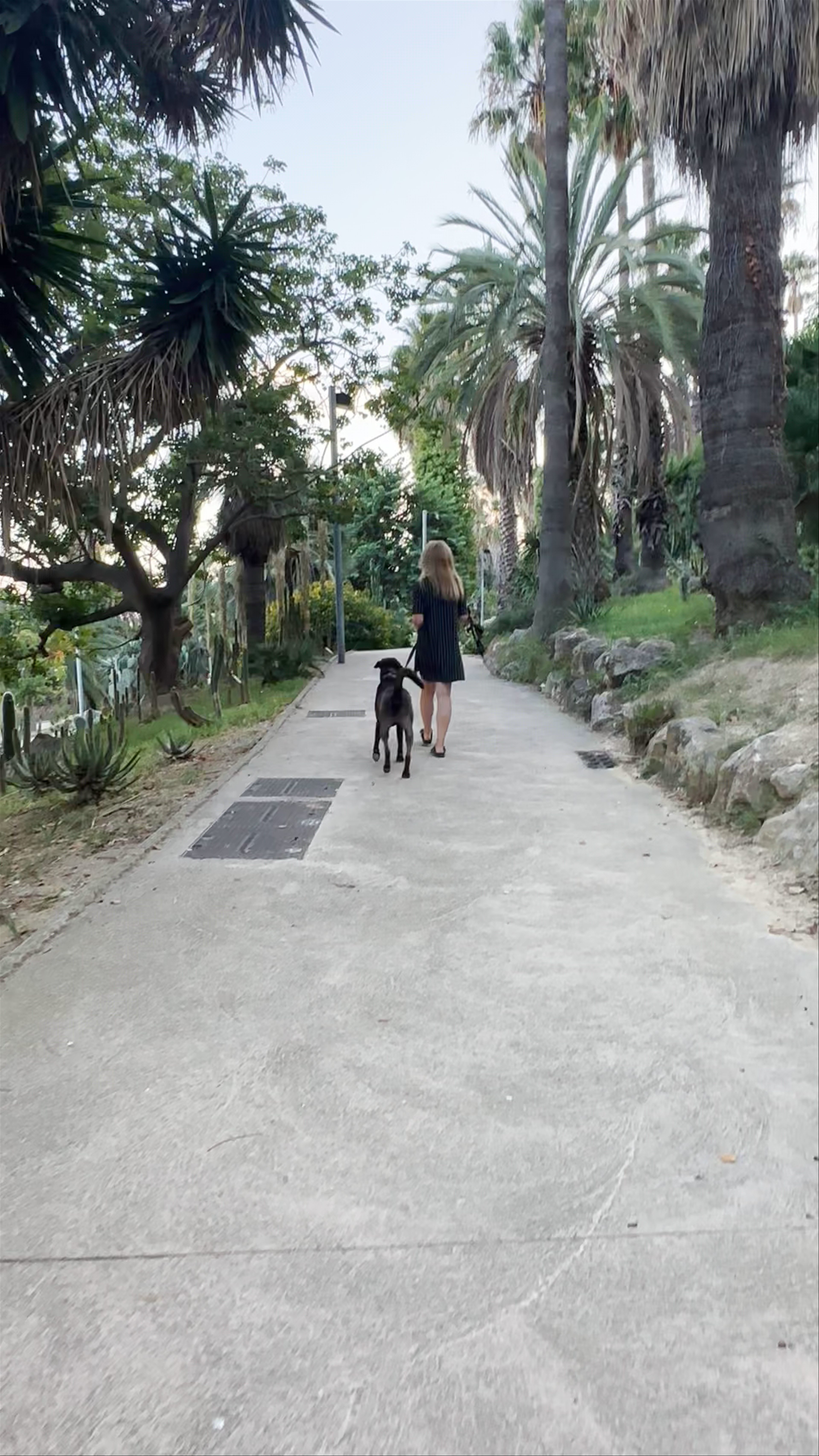 Jardins de Mossèn Costa i Llobera