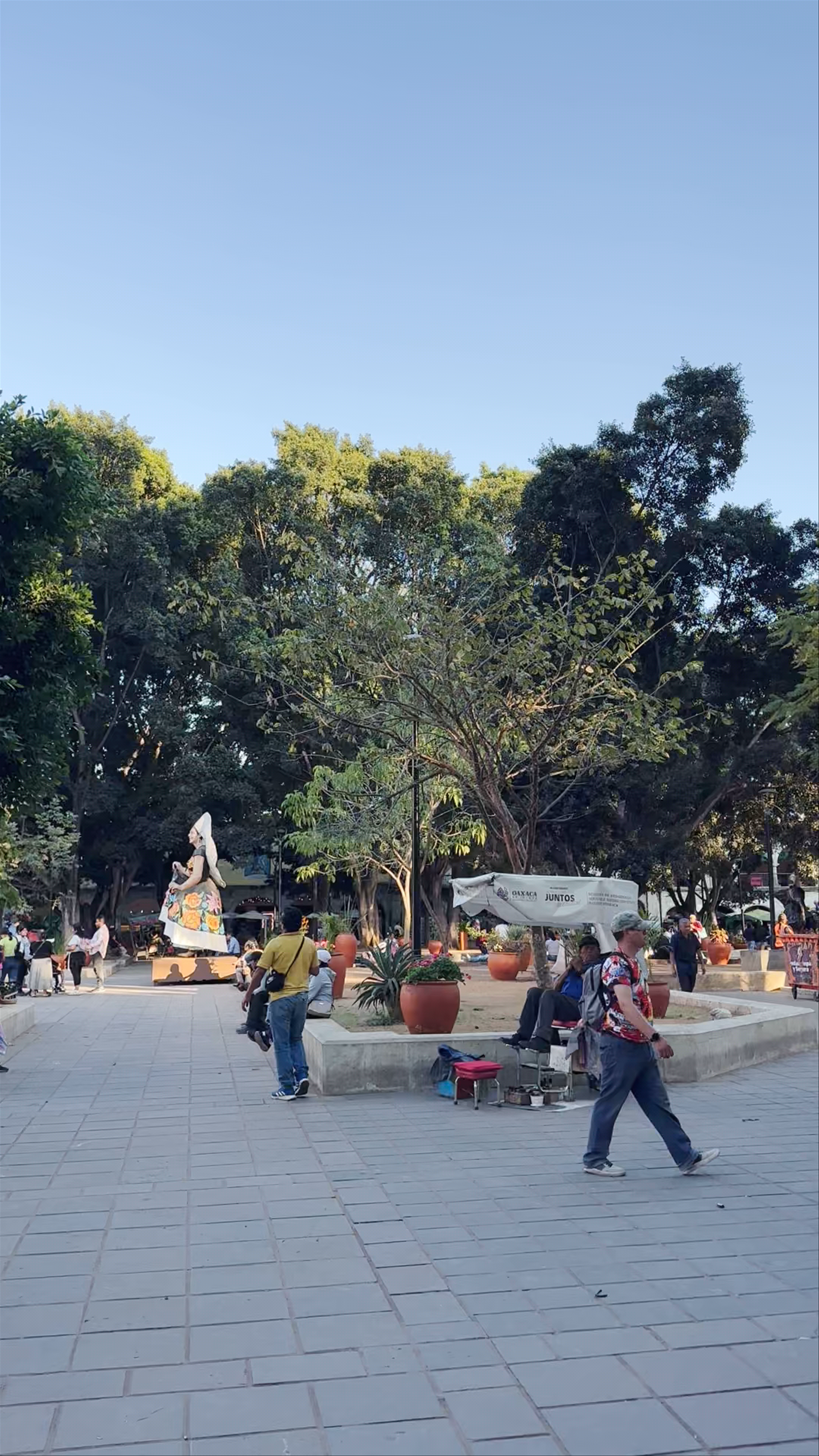 Zócalo de Oaxaca: Heart of Oaxaca City’s Vibrant Social Scene