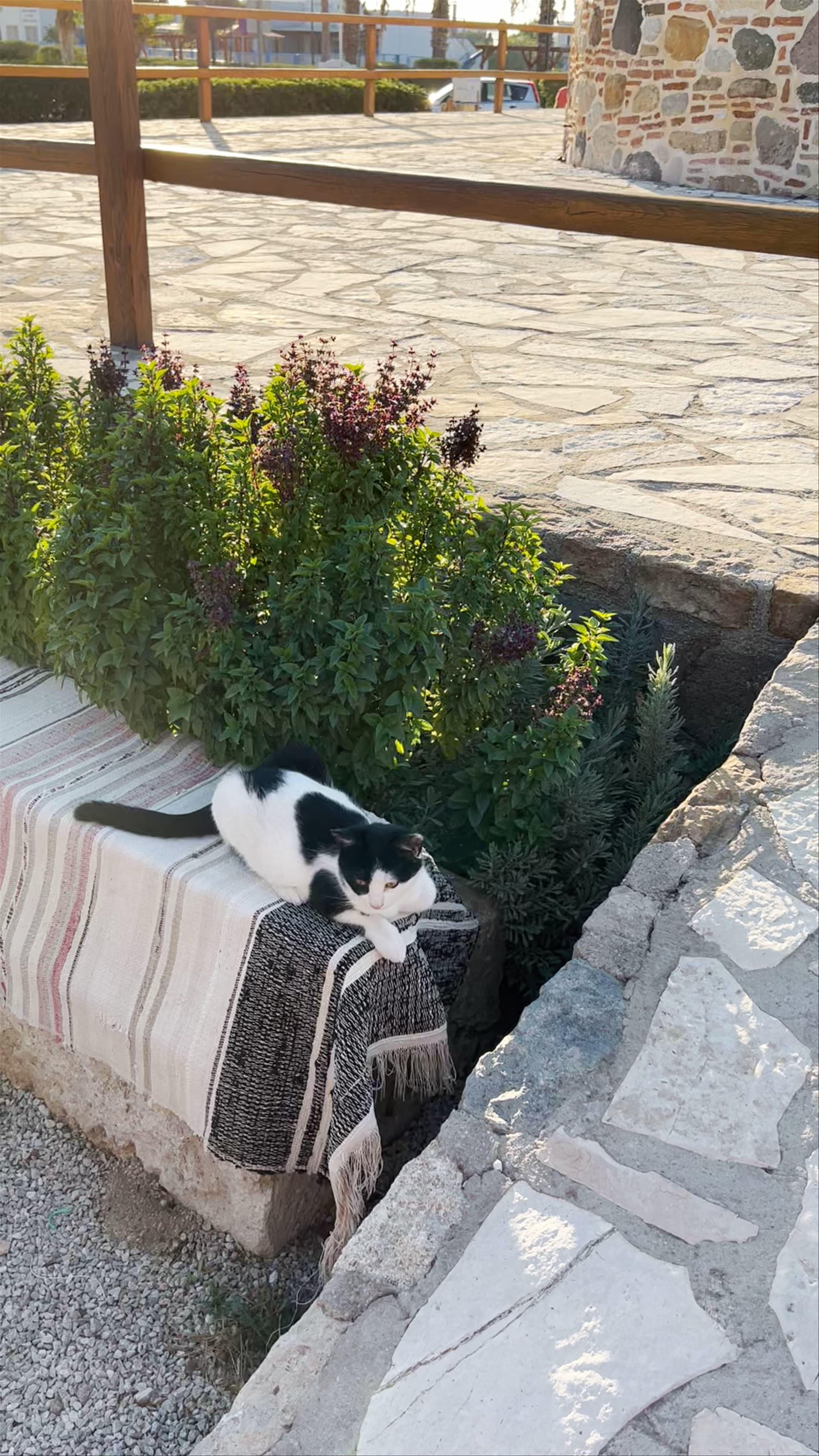 Traditional Windmill Of Antimachia