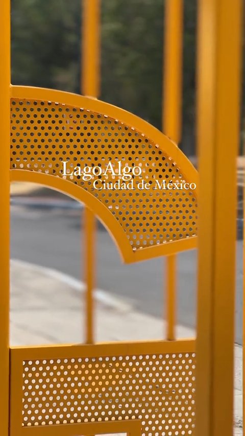 LagoAlgo