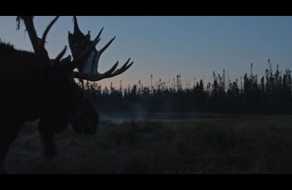 Bande-annonce en français
