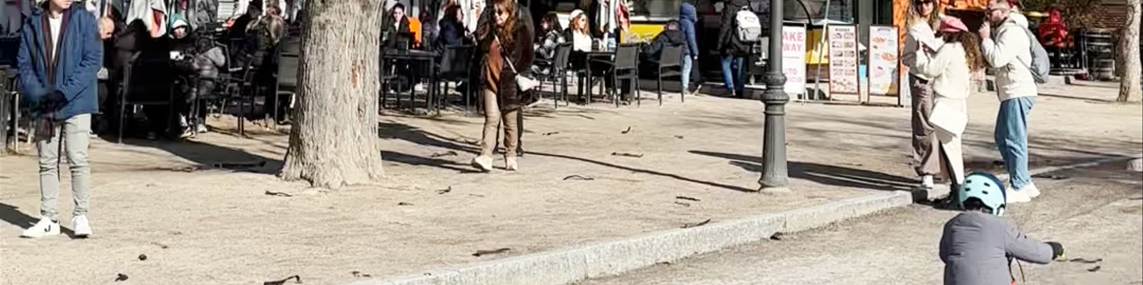 Fuente de la Alcachofa