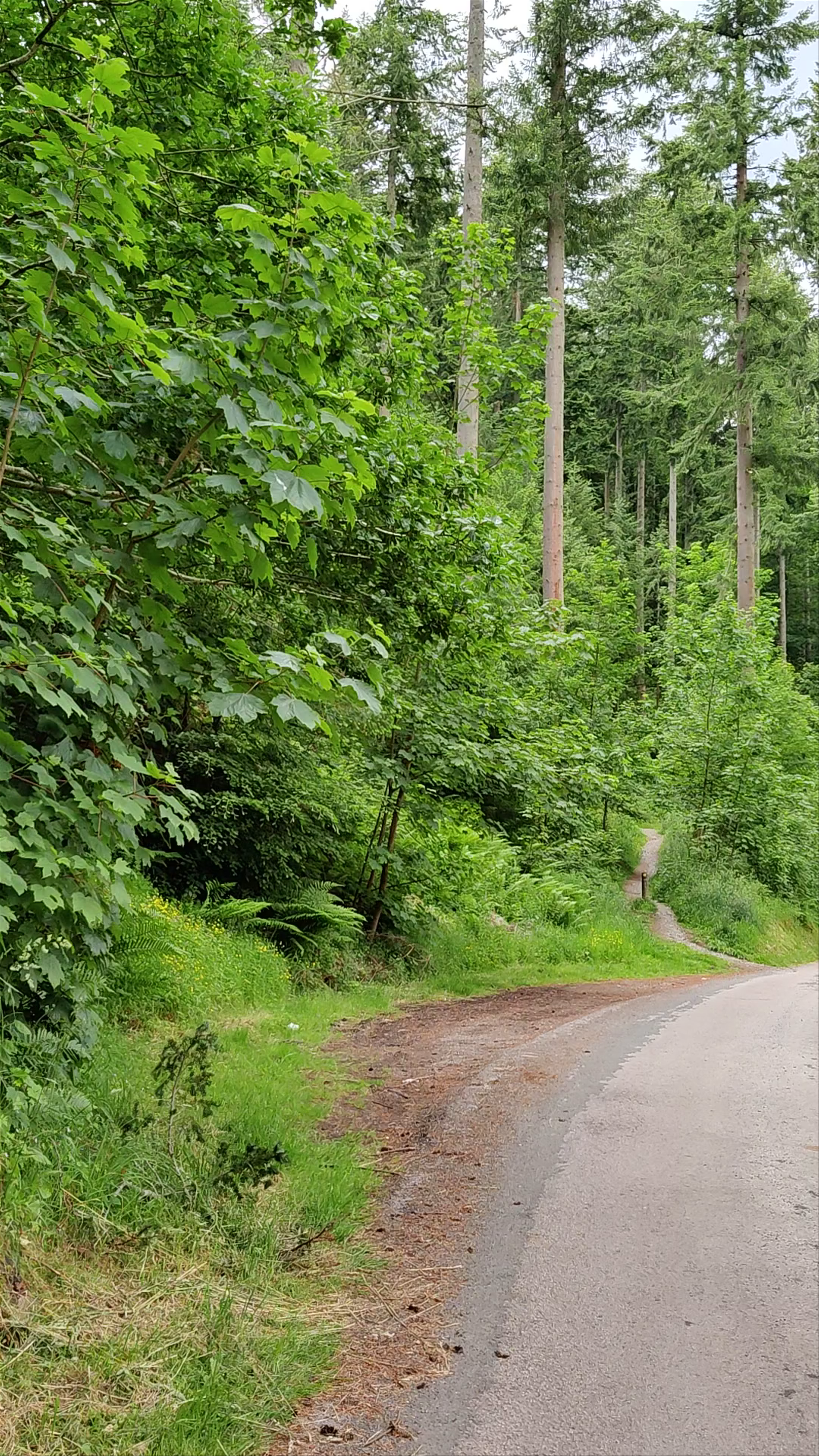 Peil Wyke