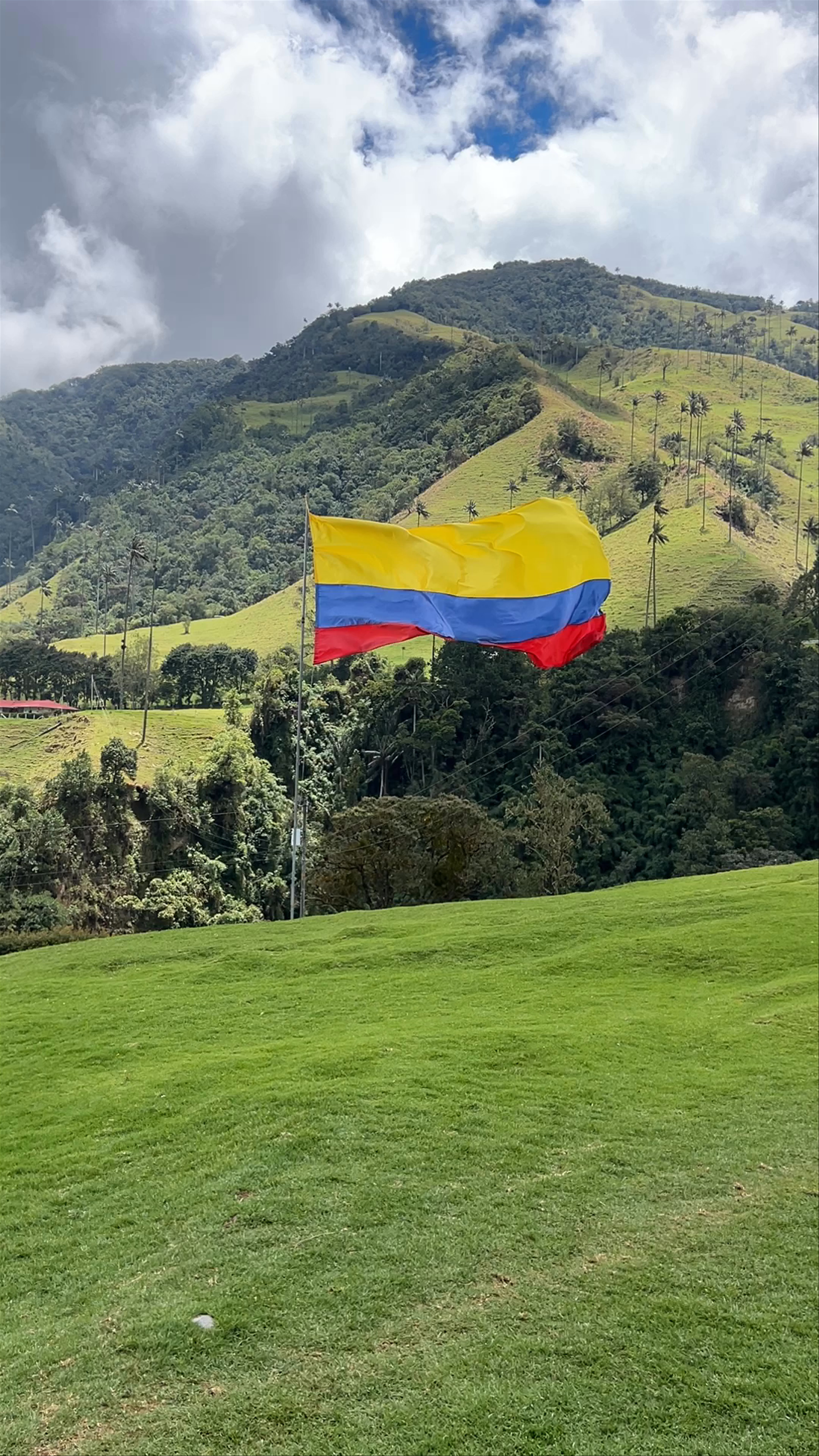 Valle del Cocora: Breathtaking Highlands of Colombia