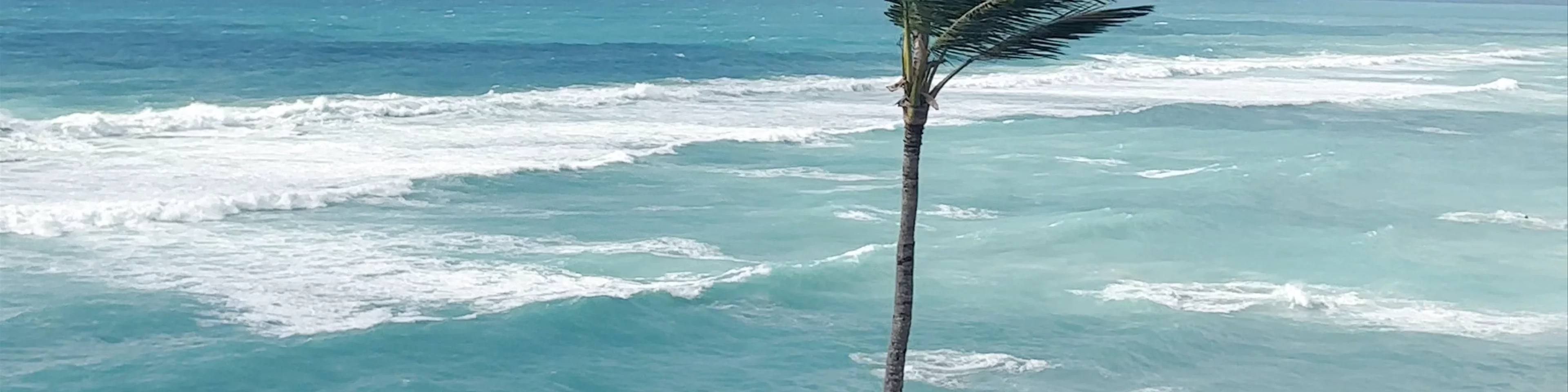 AZURA Bermuda