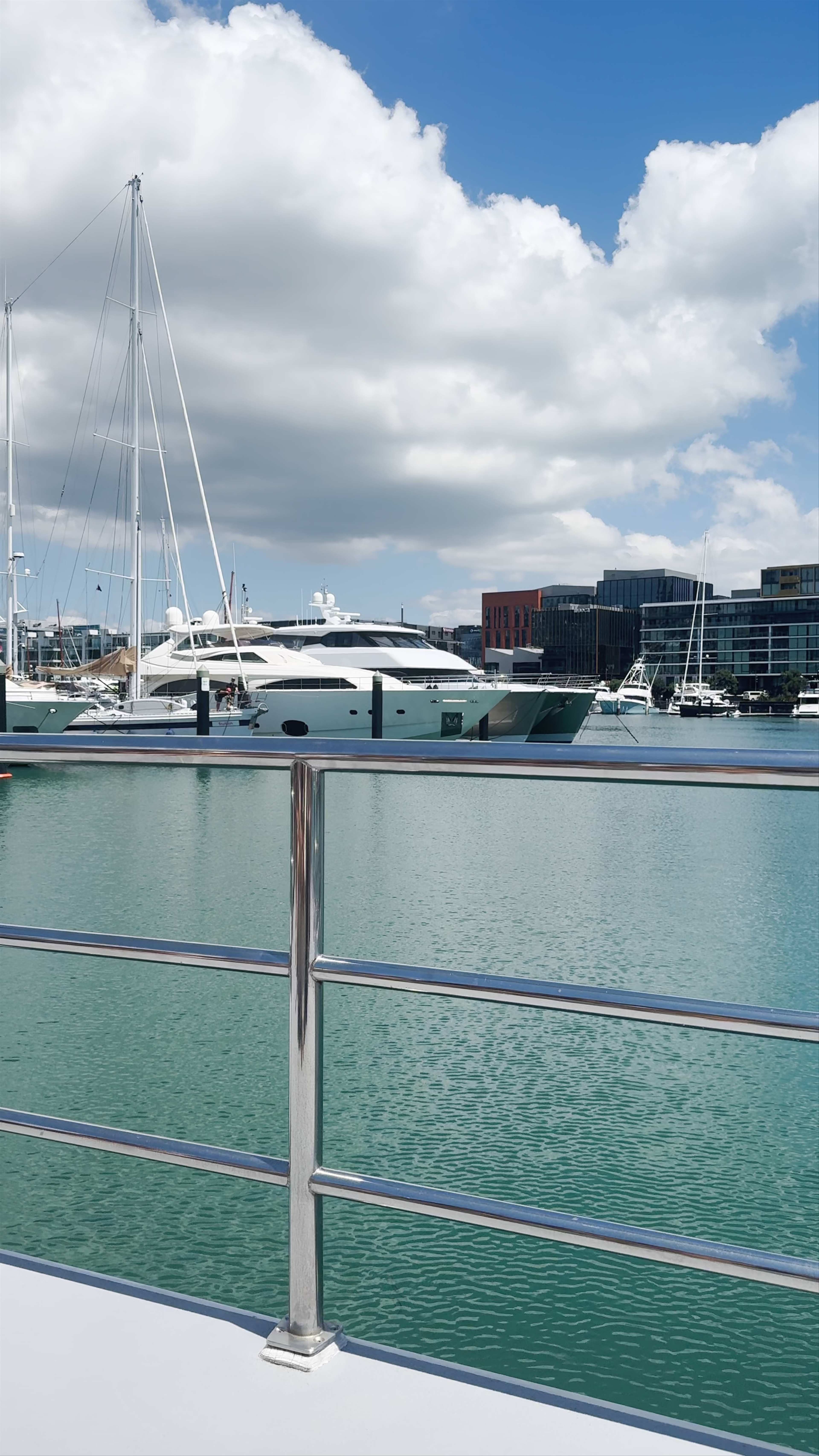 Auckland Whale & Dolphin Safari