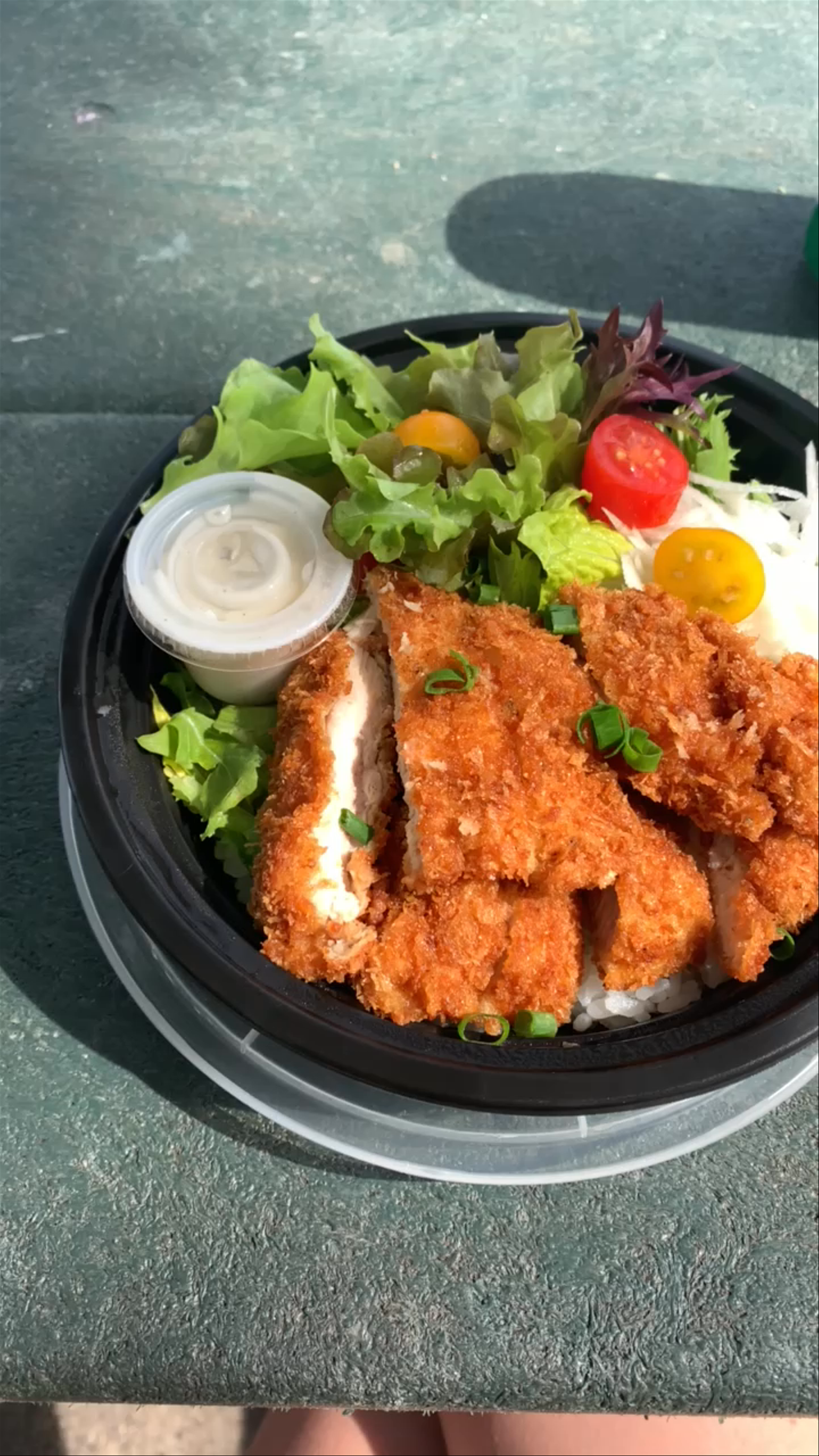 Seaside Picnic with Crispy Chicken Katsu Near Kaneohe Beach