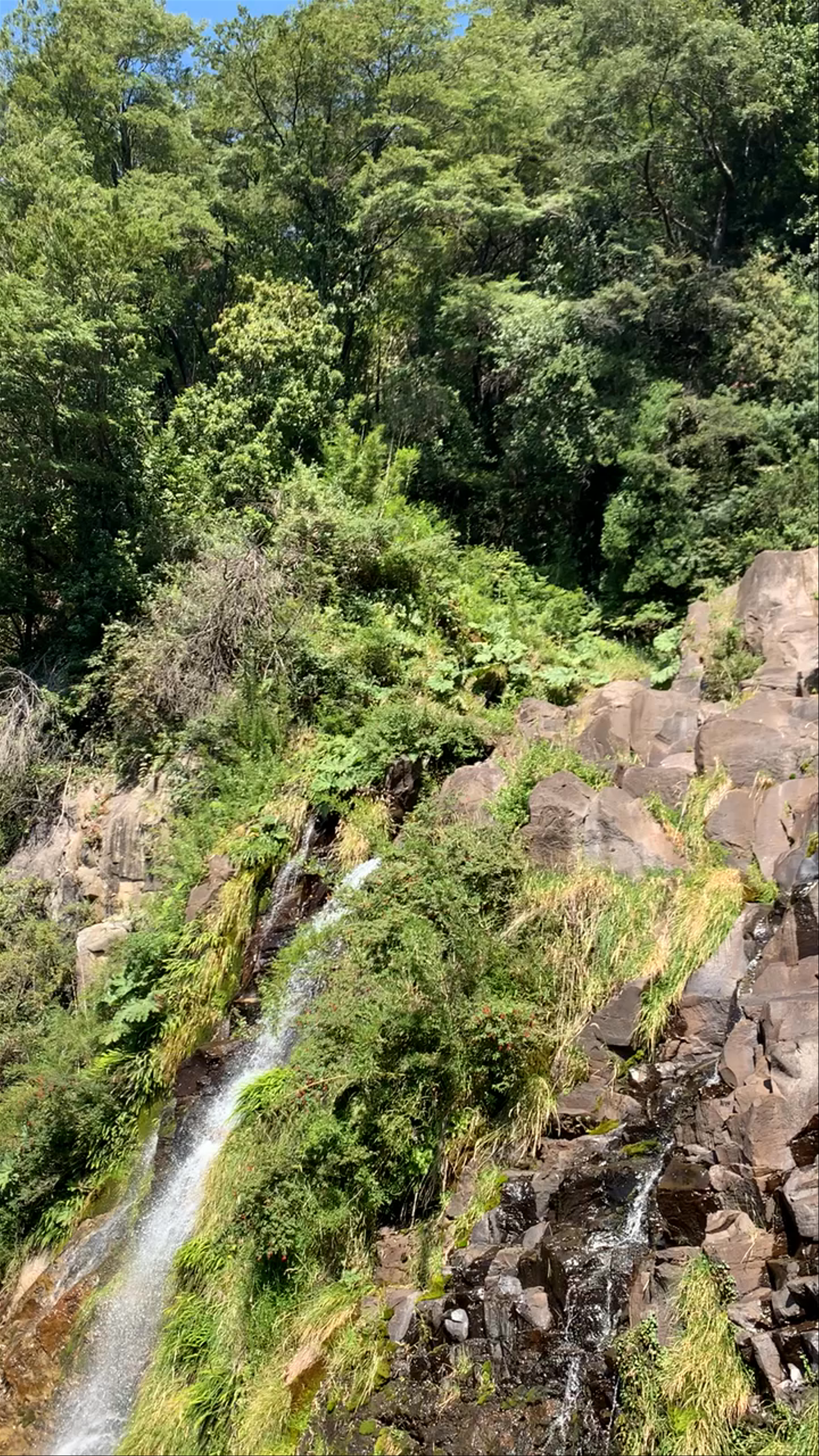 Sendero Salto De La Niña Encantada - Ruta 201