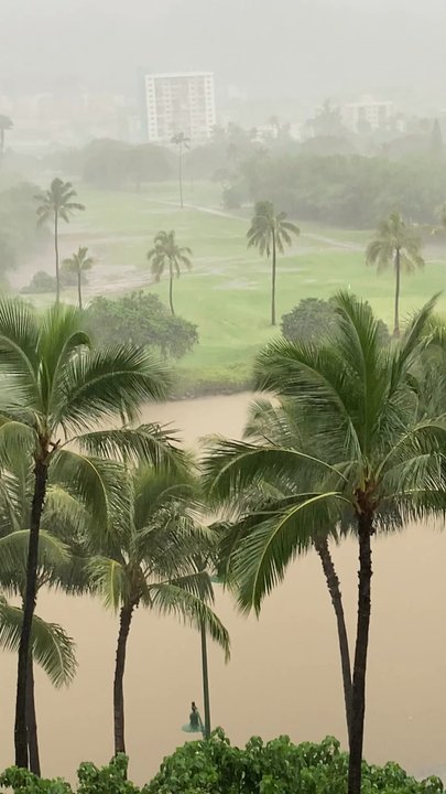 Ala Wai Golf Course - This is actually an ancient Taro patch That grew so much food that is fed everybody on the island but also was a aqua filter to the ocean - Golf Near Me - Honolulu, Hawaii