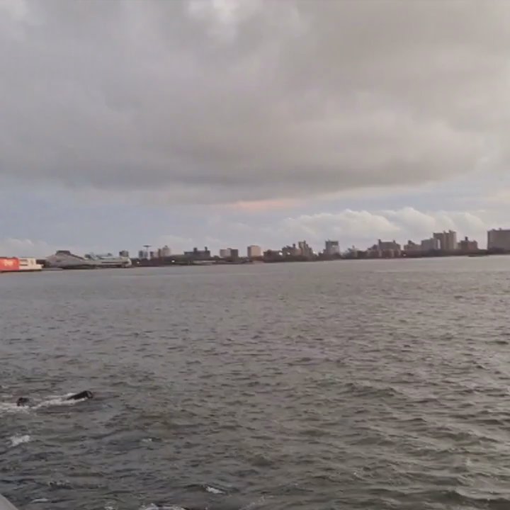 Shore Road Park - Parks Near Me - Brooklyn, New York