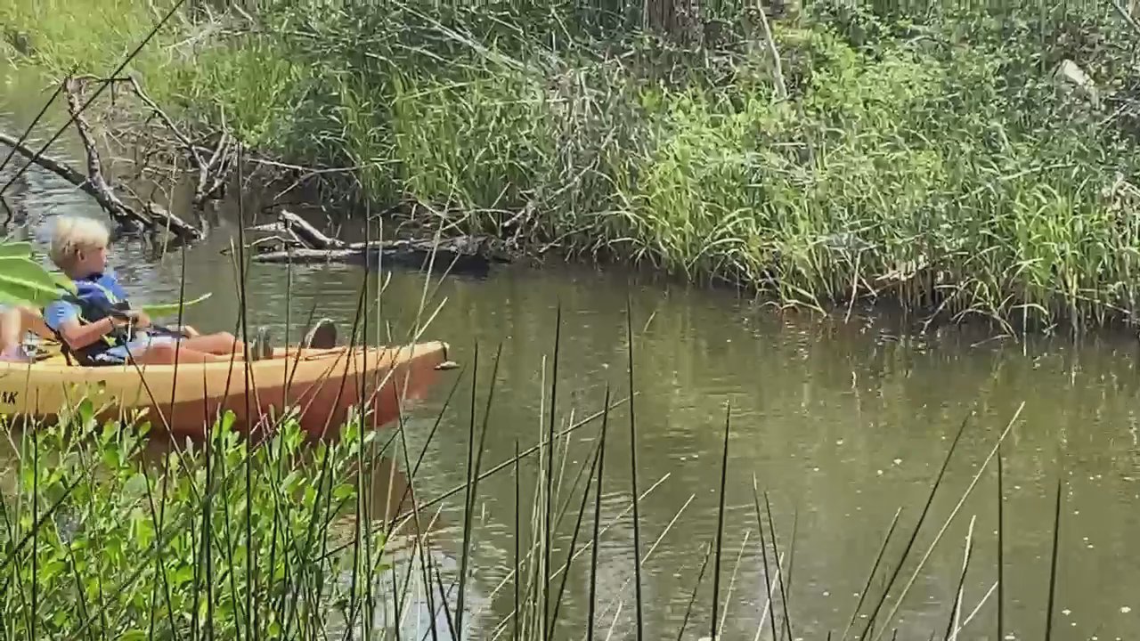 E-Bikes & Boards - E-Bikes & Boards Kayaking fun! - Bike Rentals Near Me - Gulf Shores, Alabama