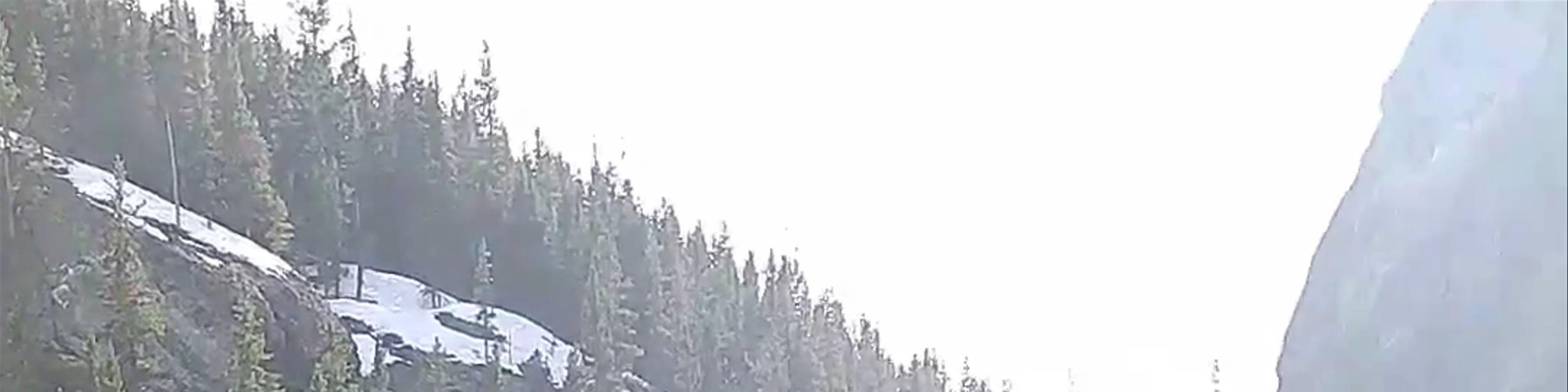Canmore Trail
