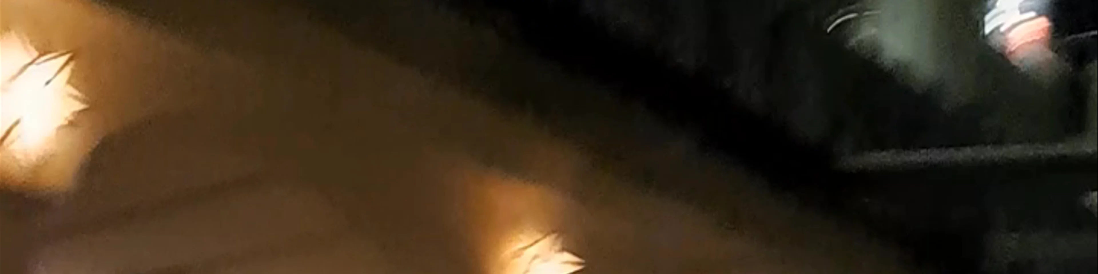 Fly