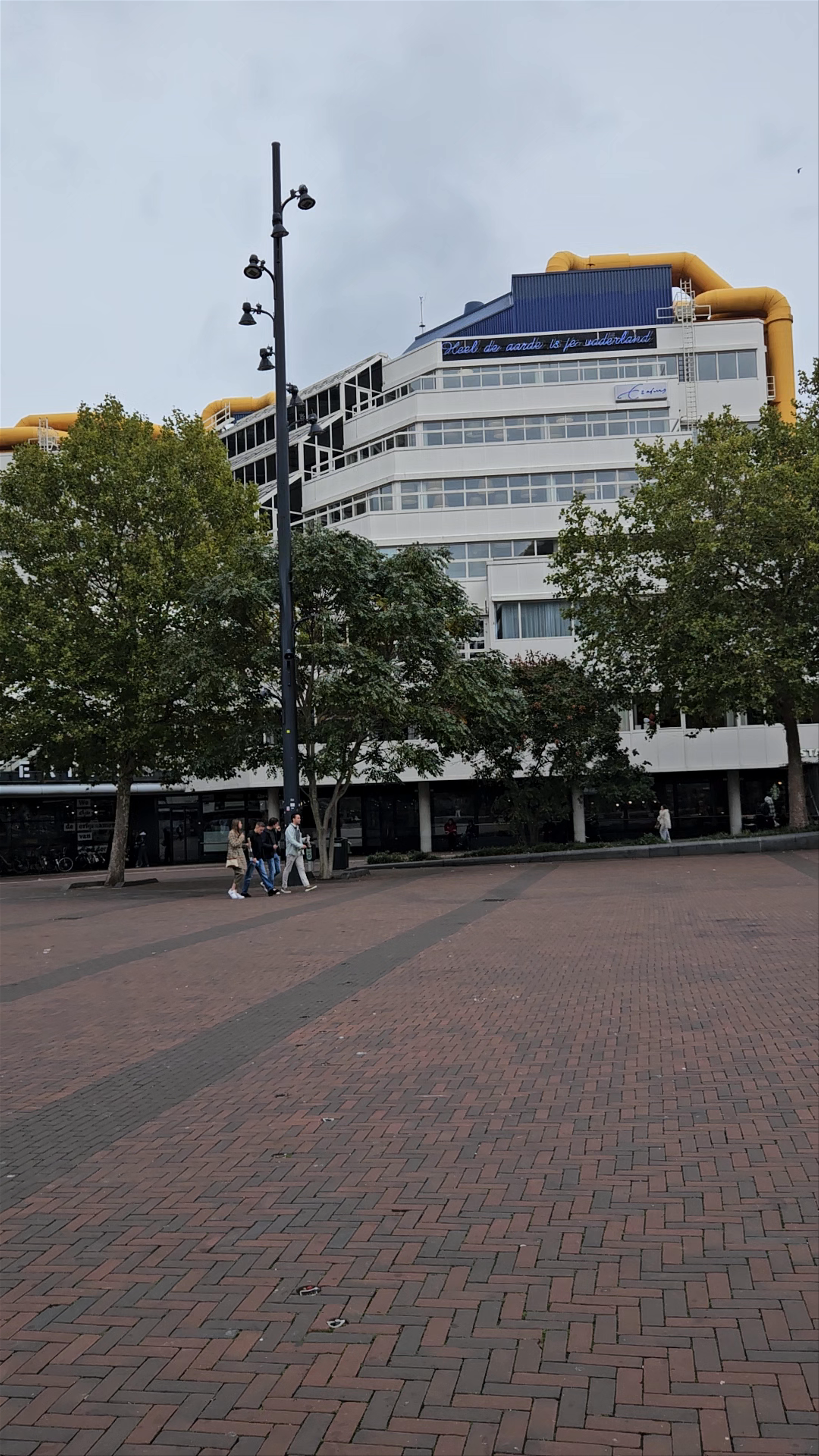 Discover Rotterdam's Iconic Markthal and Cube Houses