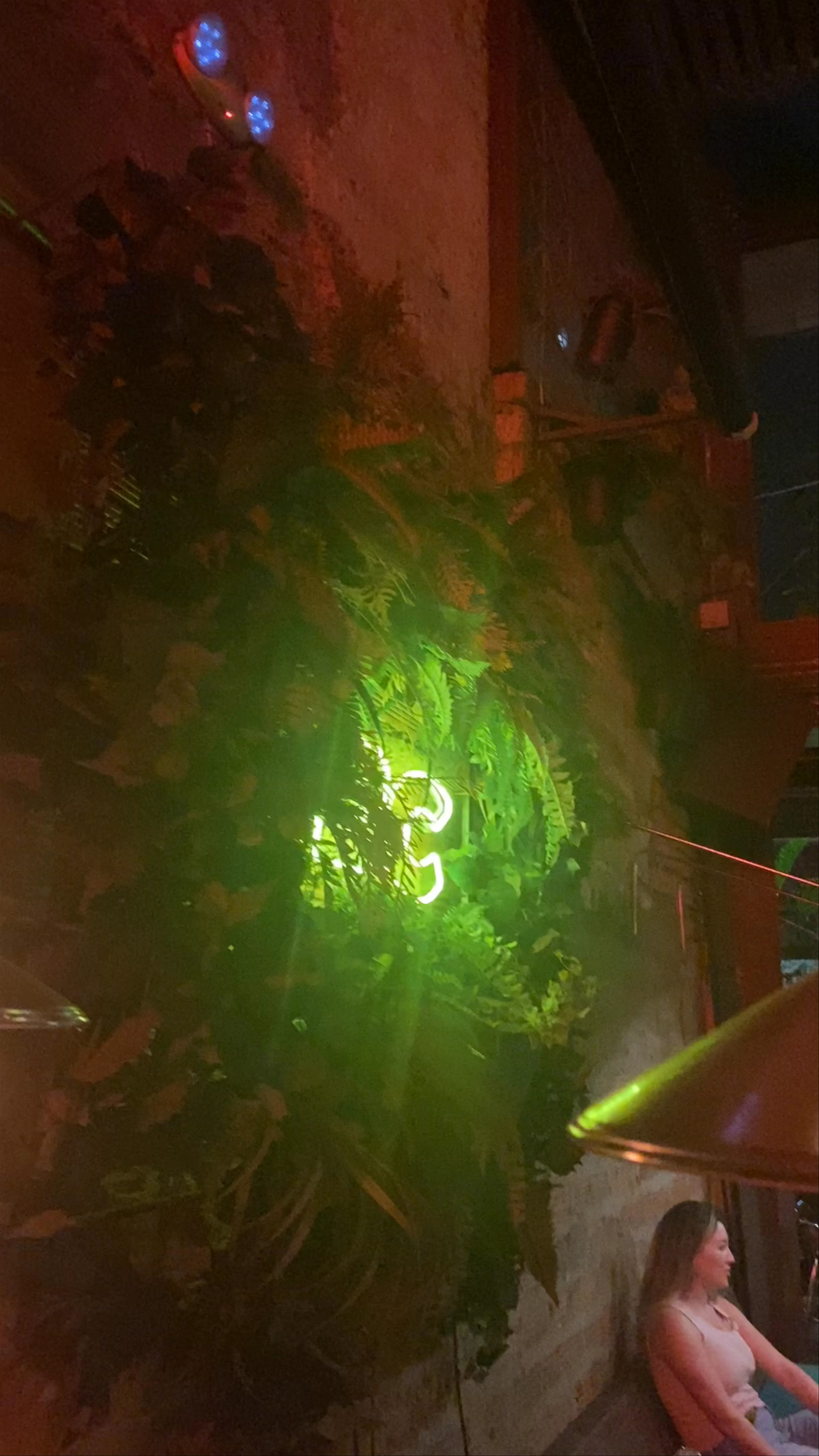 Burdo, Carrera 35, Medellín, Medellin, Antioquia, Colombia