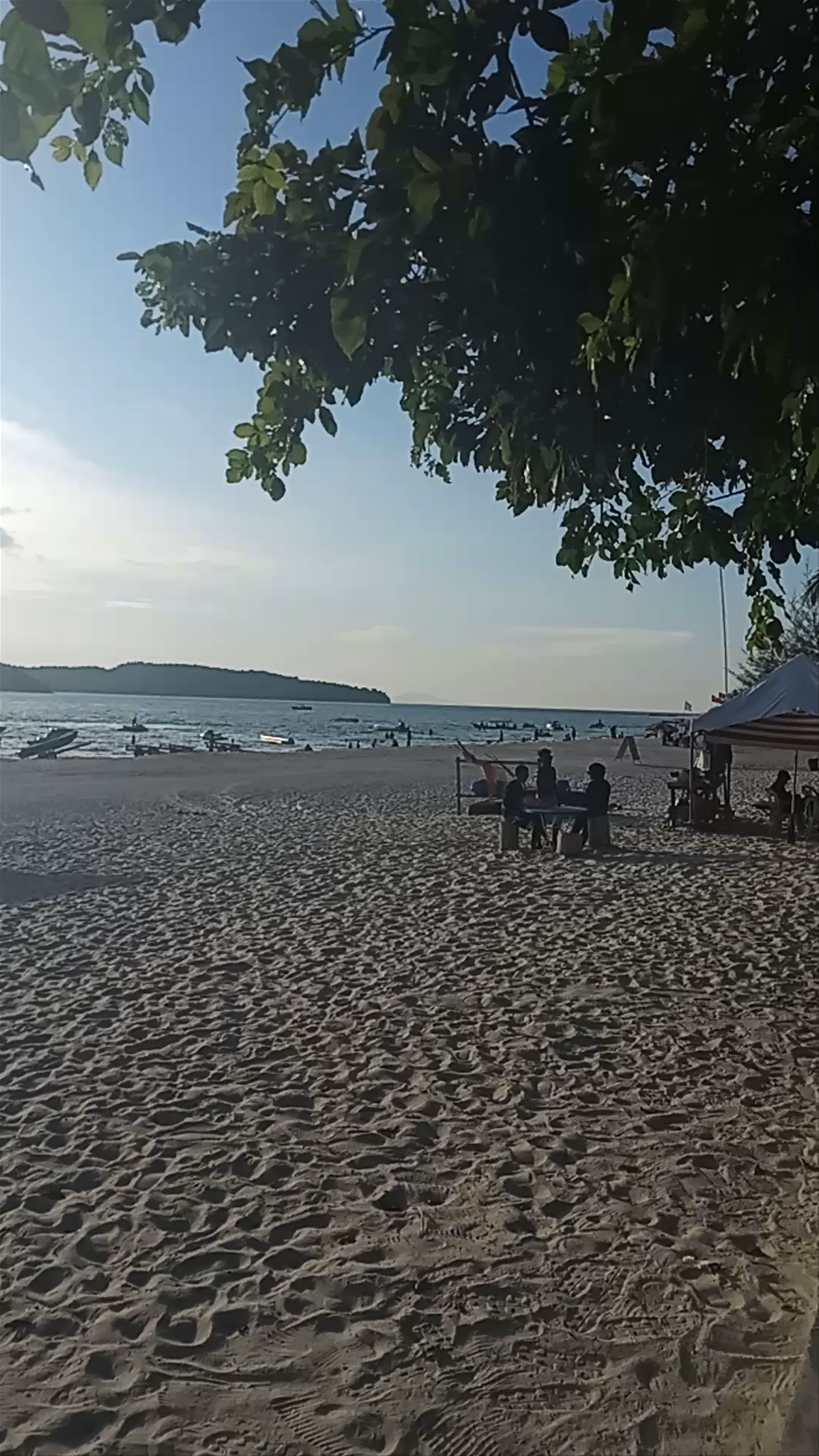 D'grill Seafood restaurant