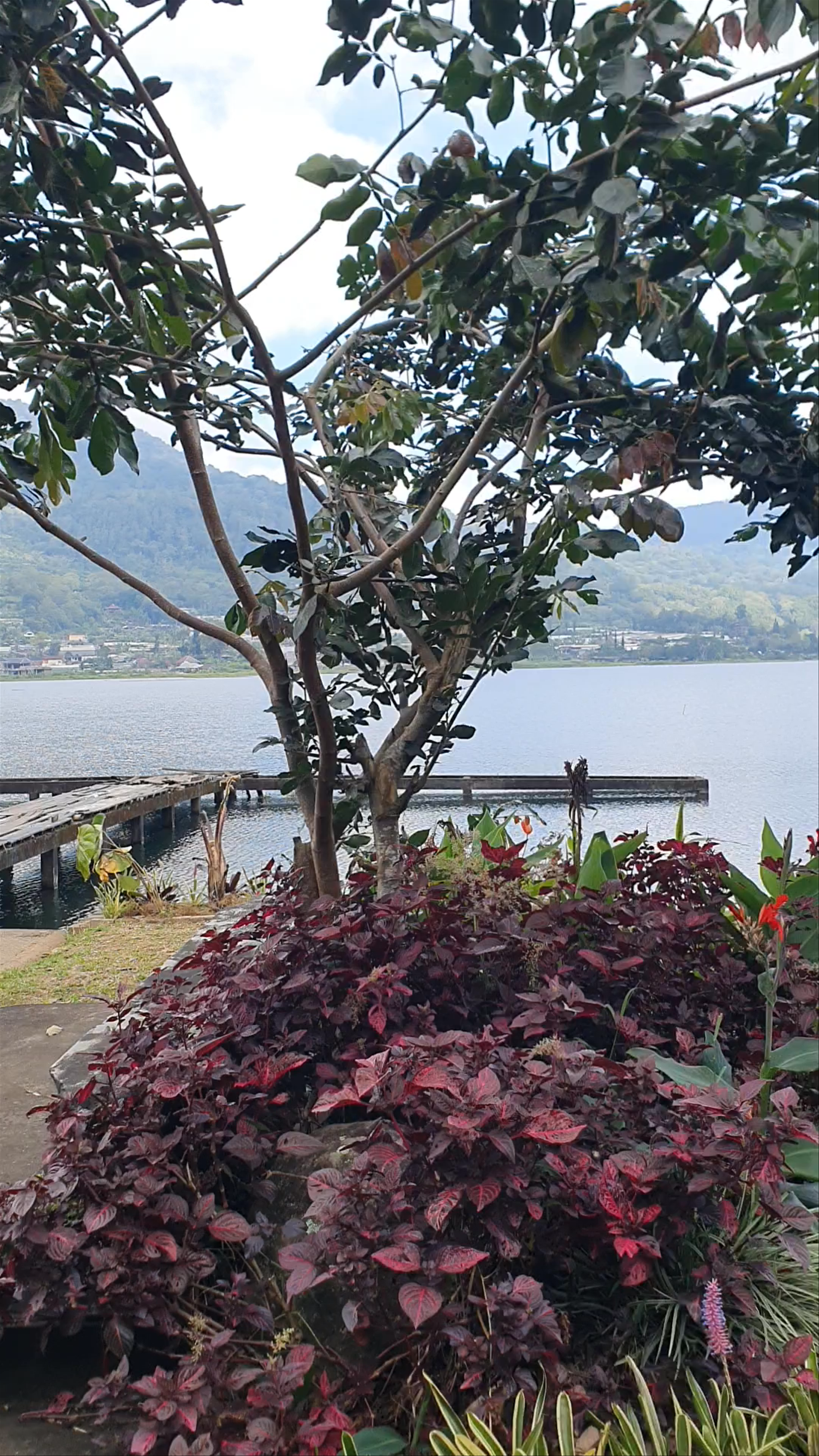 Buyan Lake View
