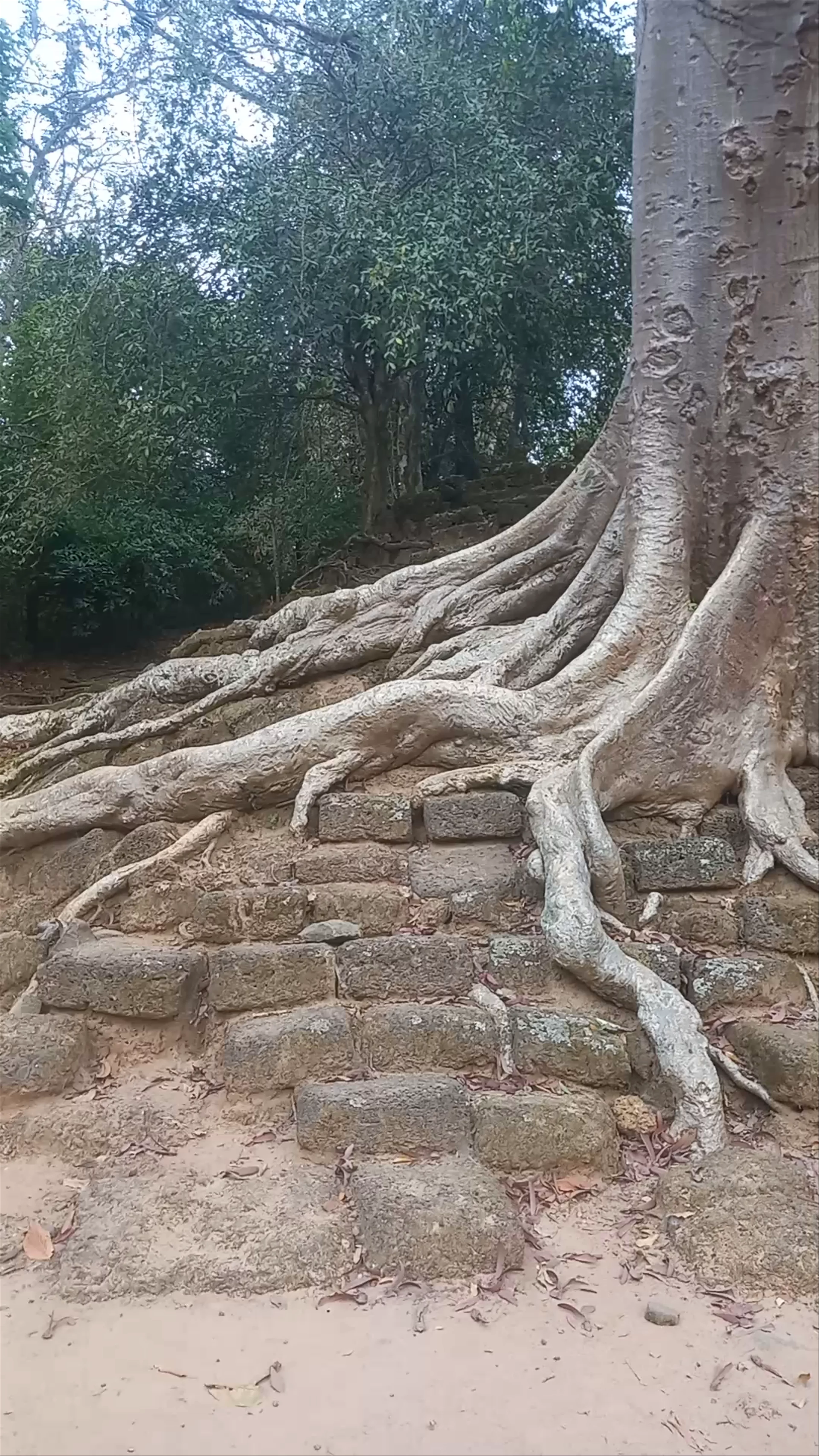 North Gate of Angkor Thom