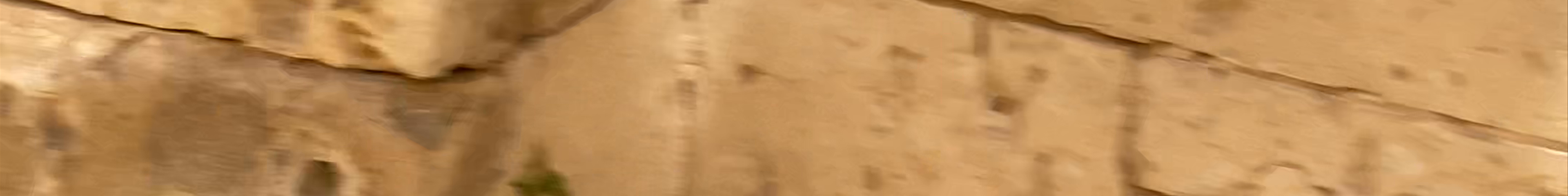 Tours & experiences in Noto