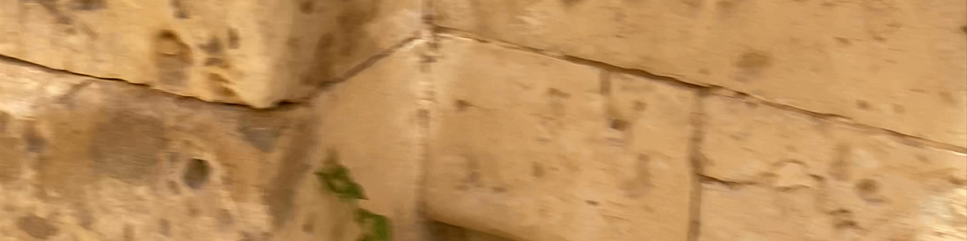 Noto
