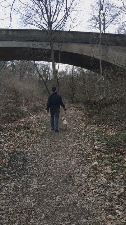 Wyman Park Dell - Leads to a nice secluded trail - Parks Near Me - Baltimore, Maryland