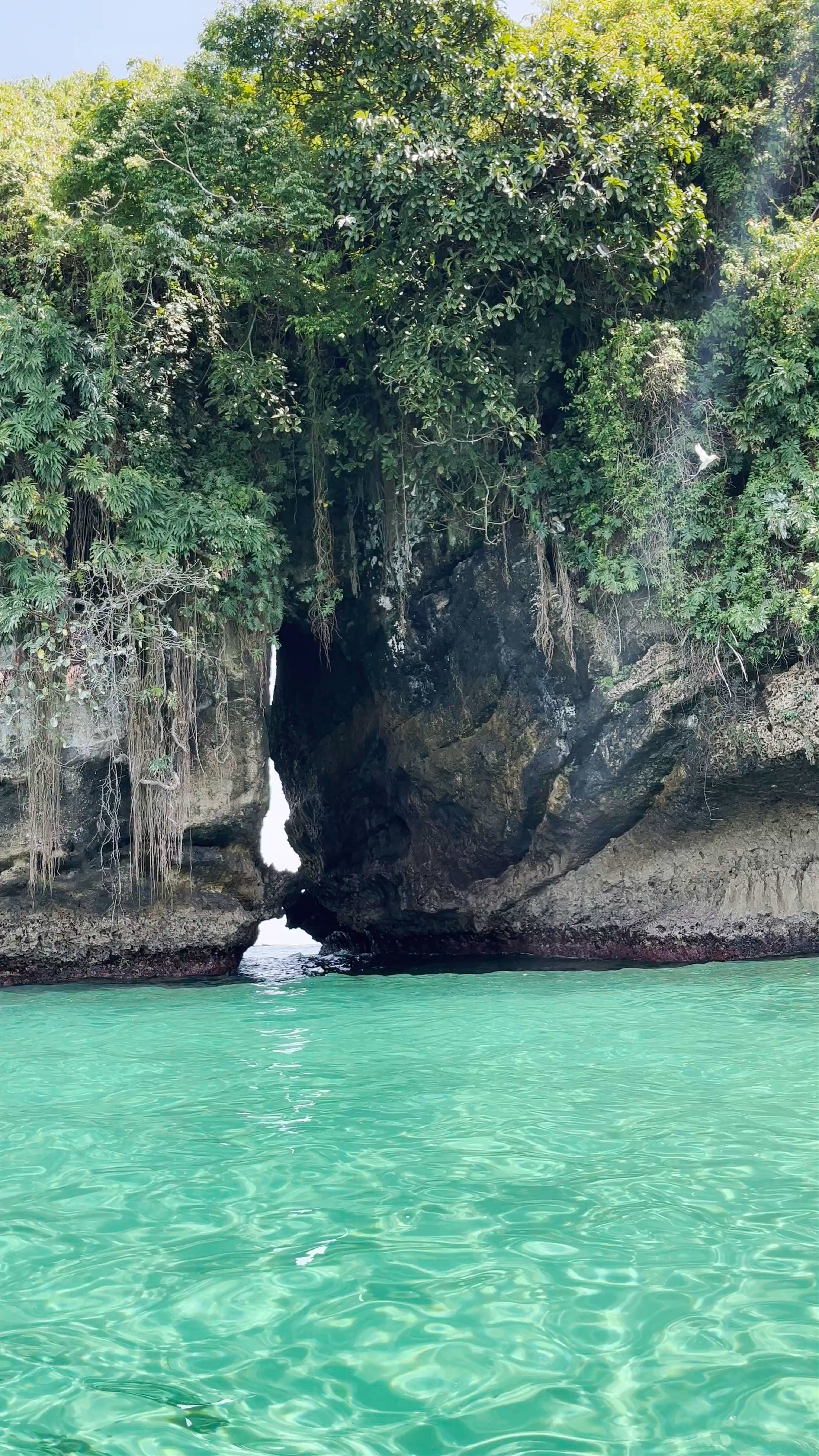 Isla Pájaros: Serene Natural Wonder in Bocas del Toro, Panama