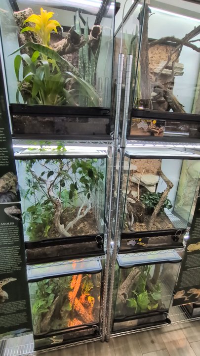 The Gecko Gallery - May 9, 2026. - Museums Near Me - Brooklyn, New York
