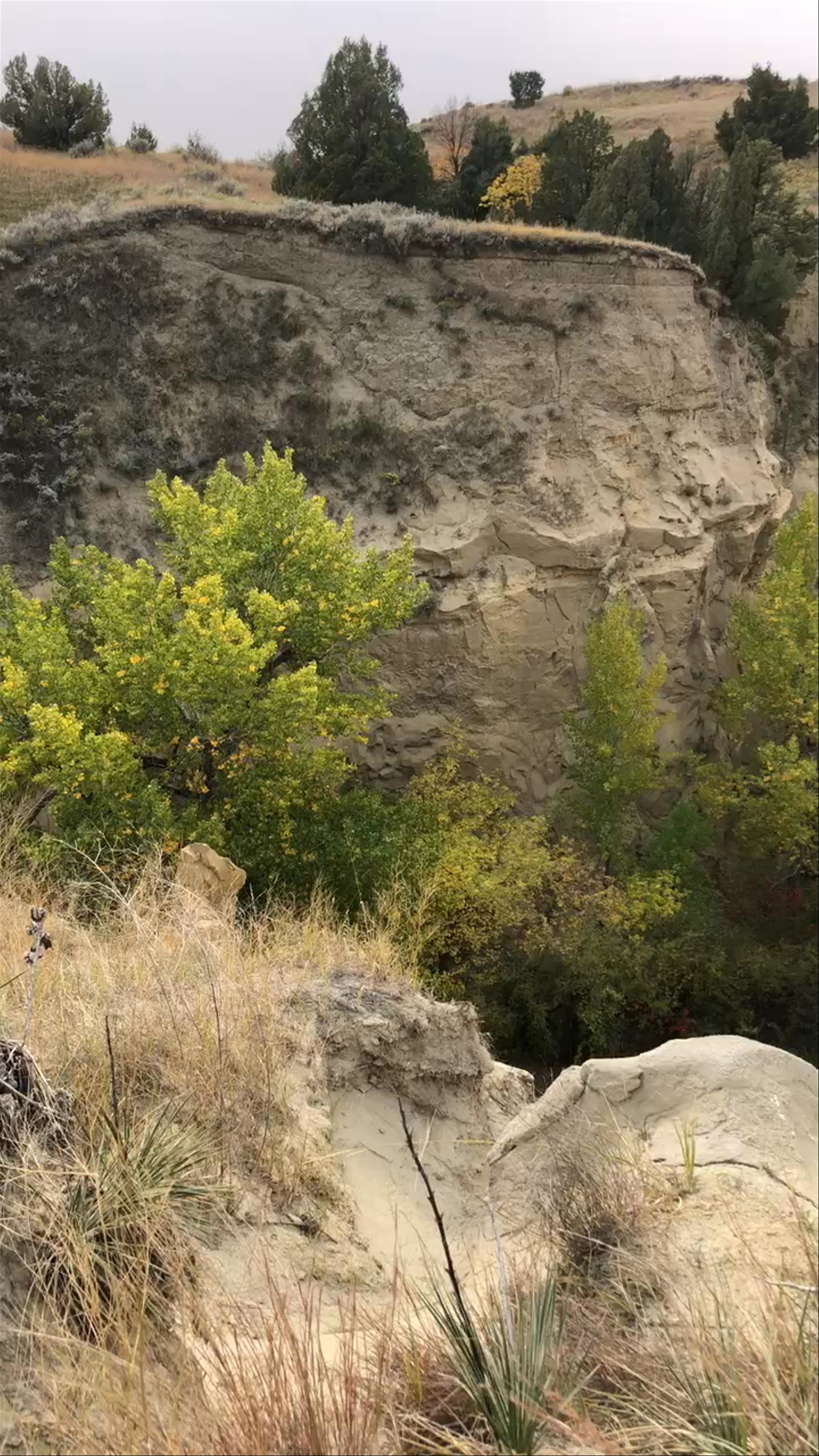 Theodore Roosevelt National Park