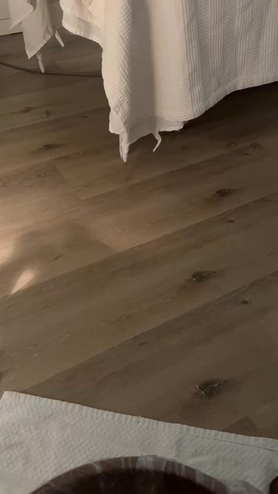 Wax & Bees - Clean and peaceful - Waxing Near Me - Houston, Texas