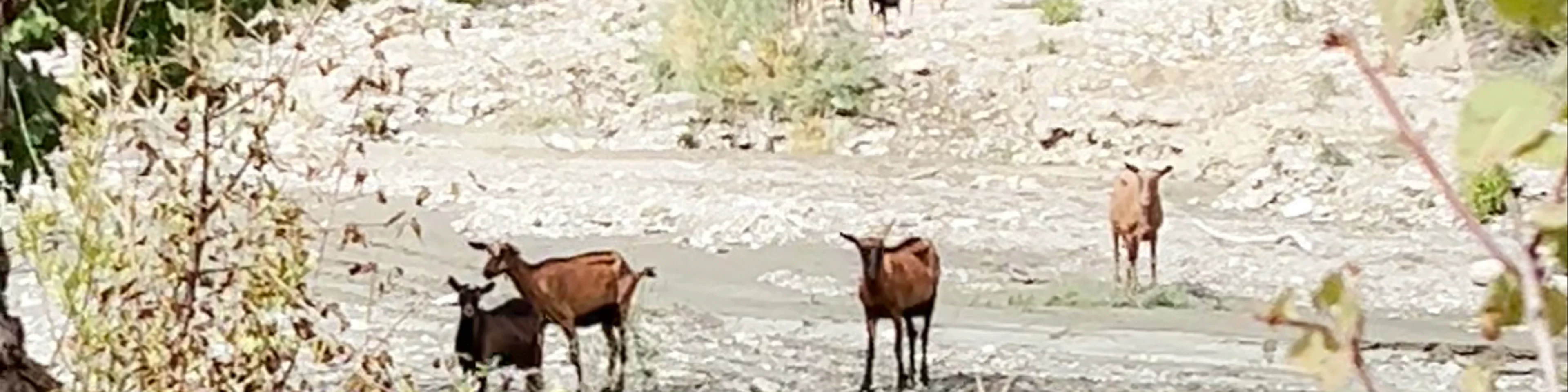 Roshnik River