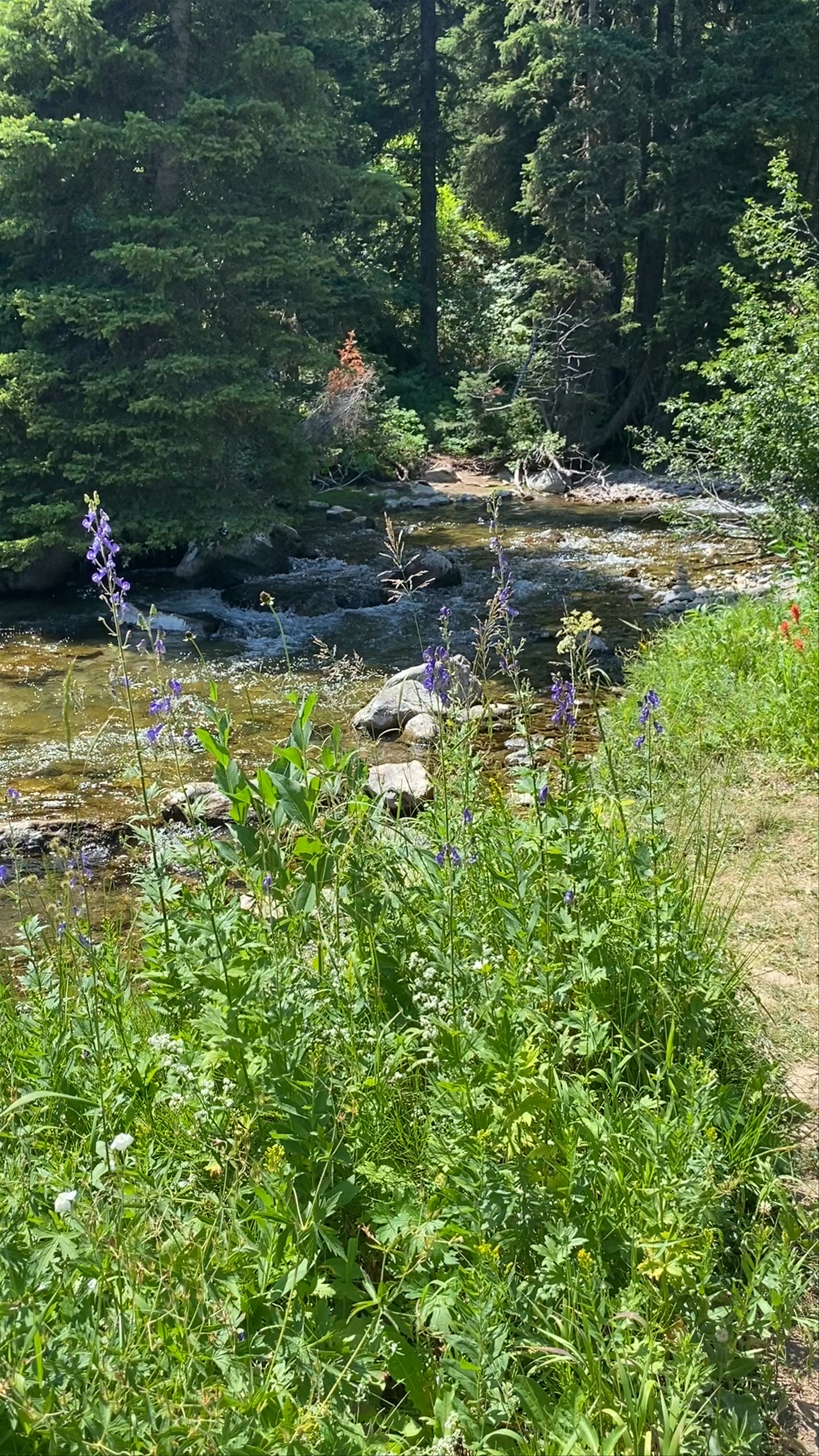 Grand Teton National Park