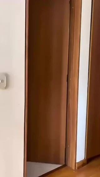 Preview del contenido