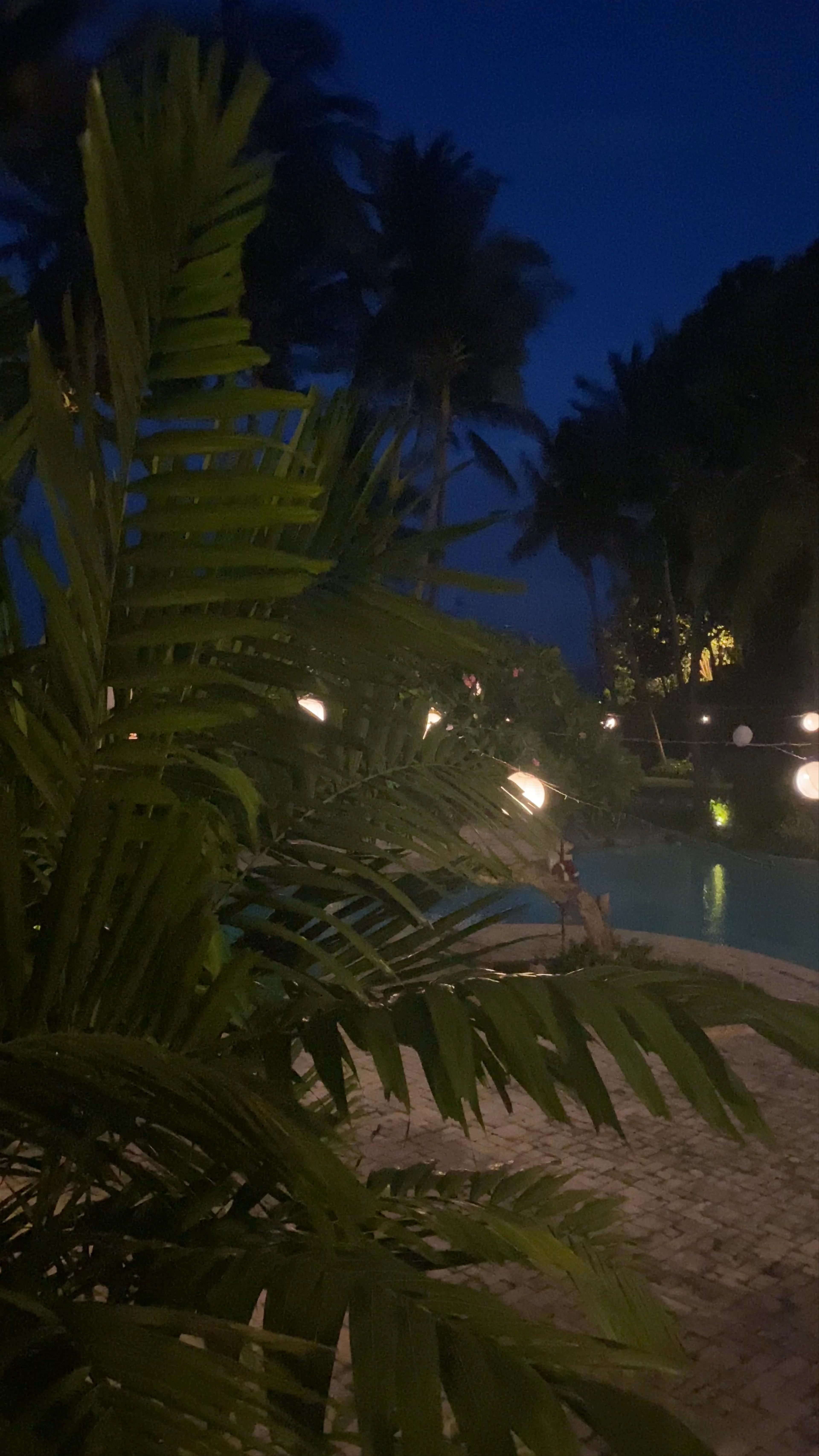 Turi Beach Resort