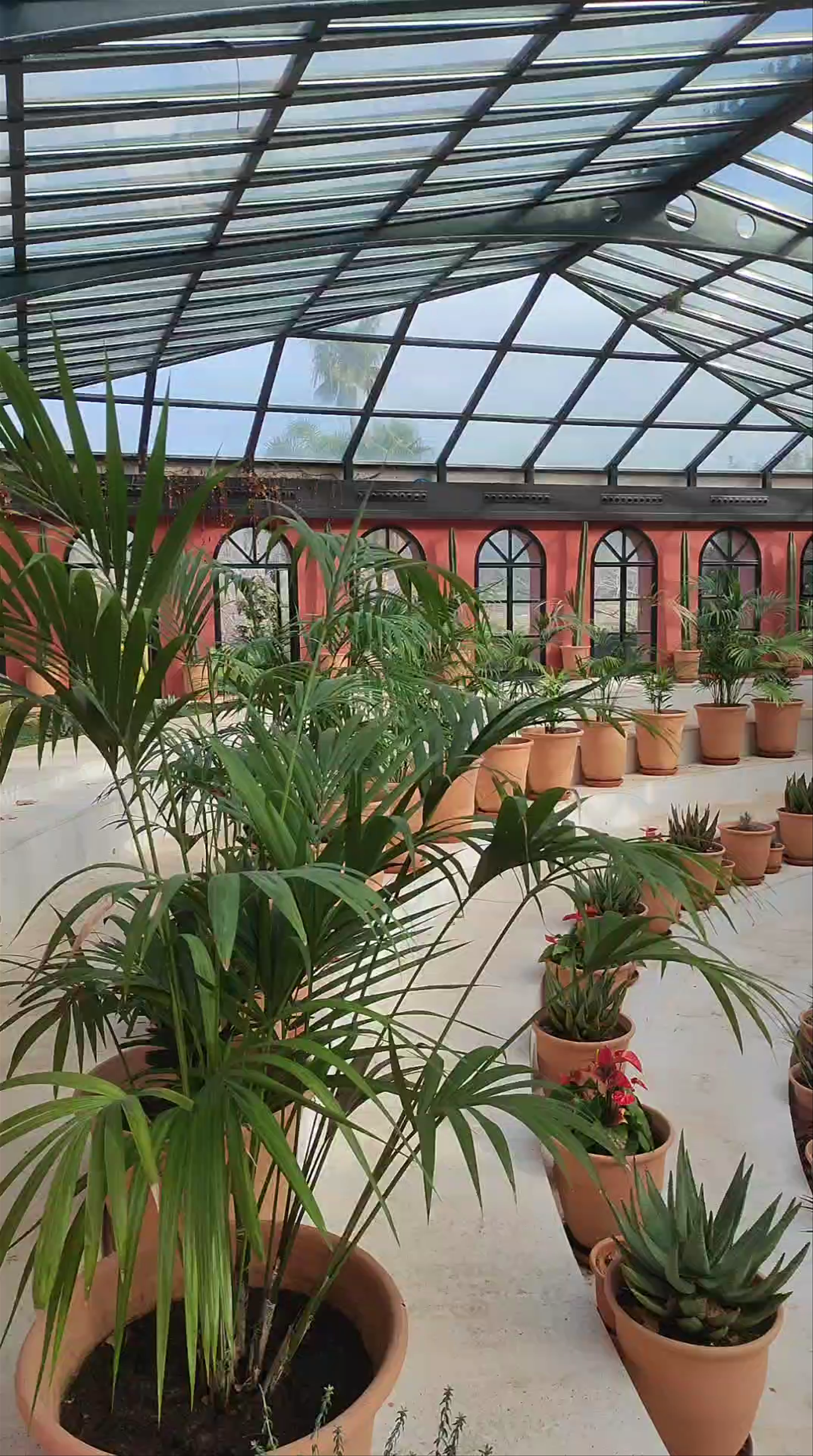 Jardín de L’Albarda: A Serene Botanical Haven in Pedreguer, Spain