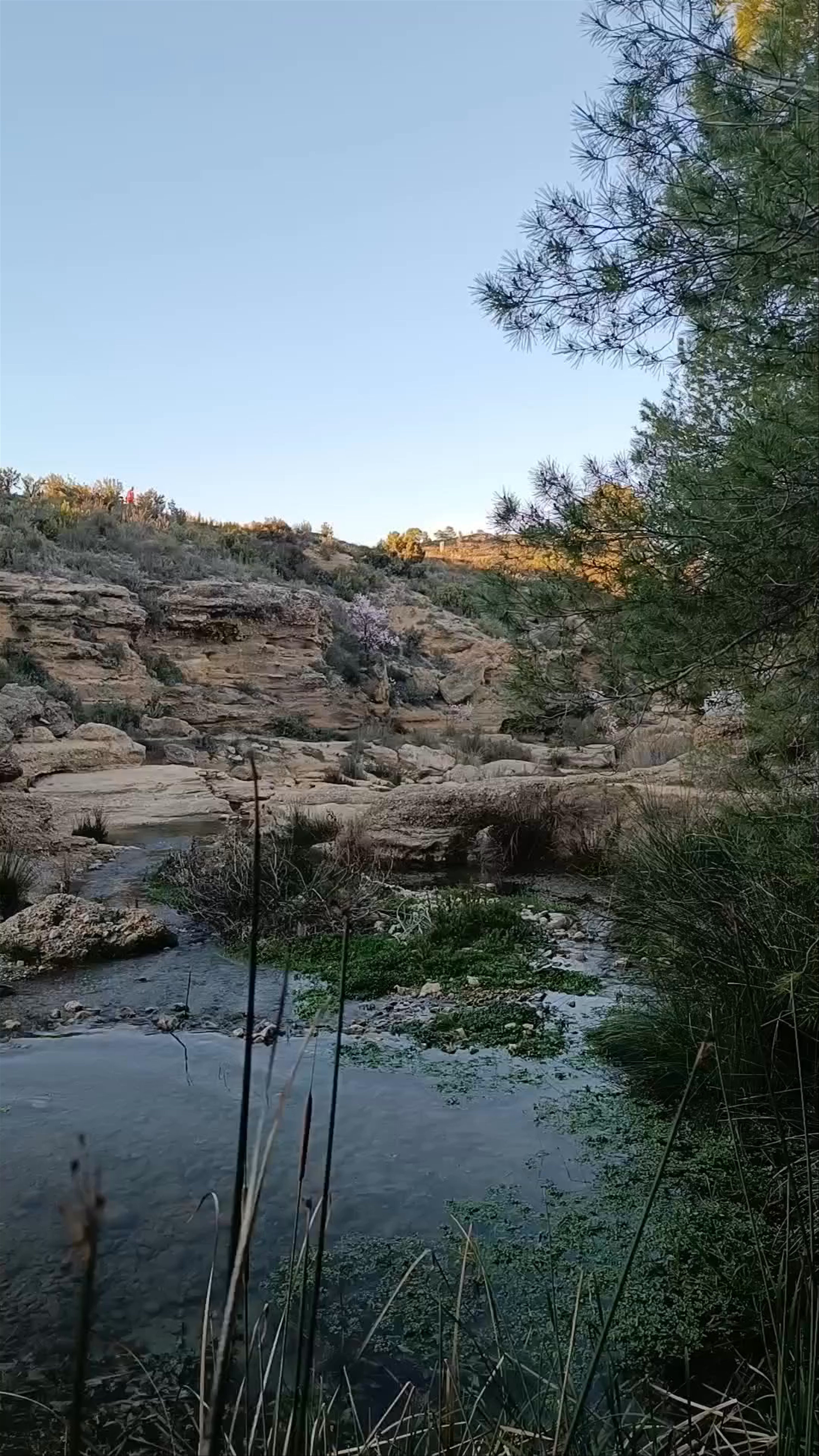 Río Mula